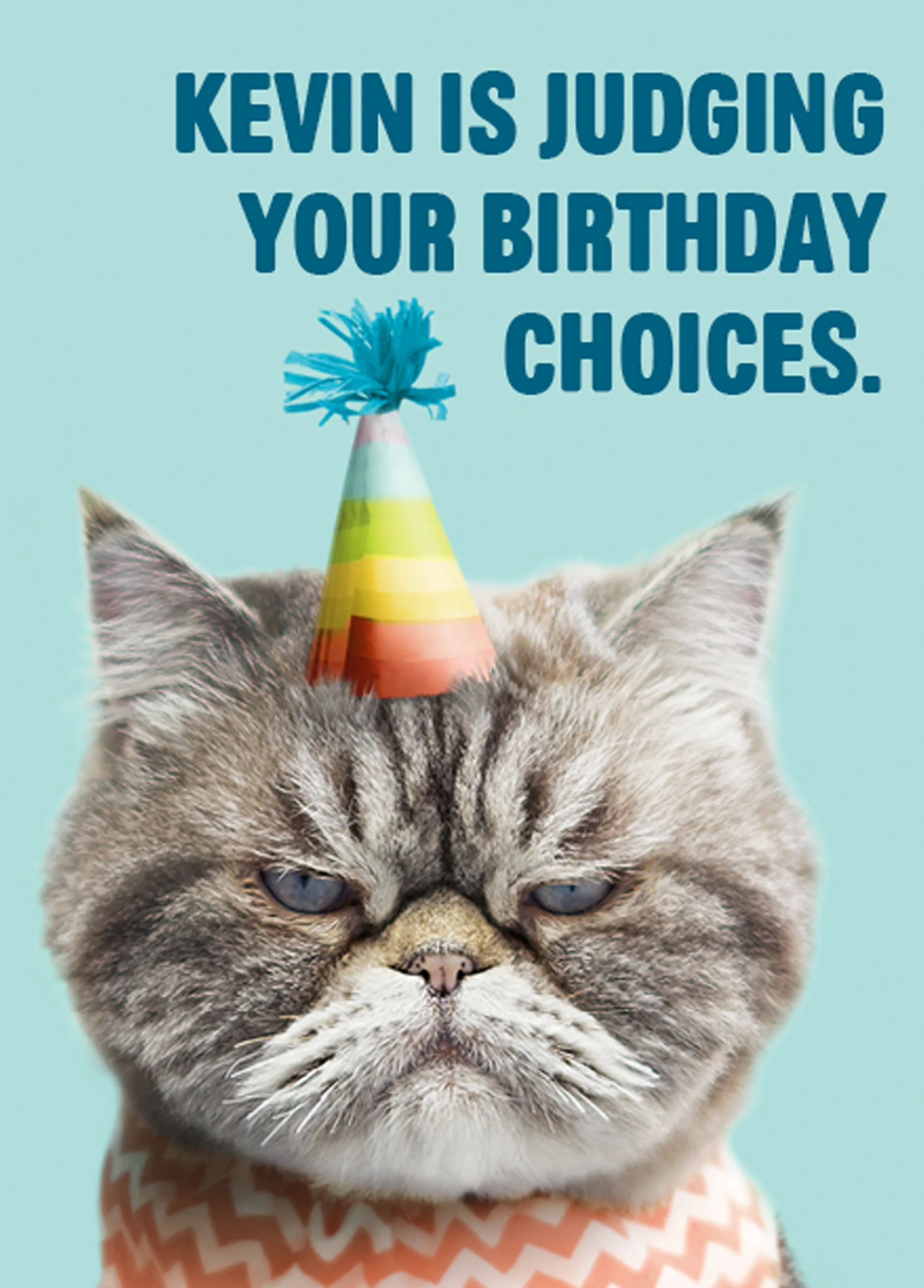 Personalised Editable Judgy Cat Photo Birthday Card