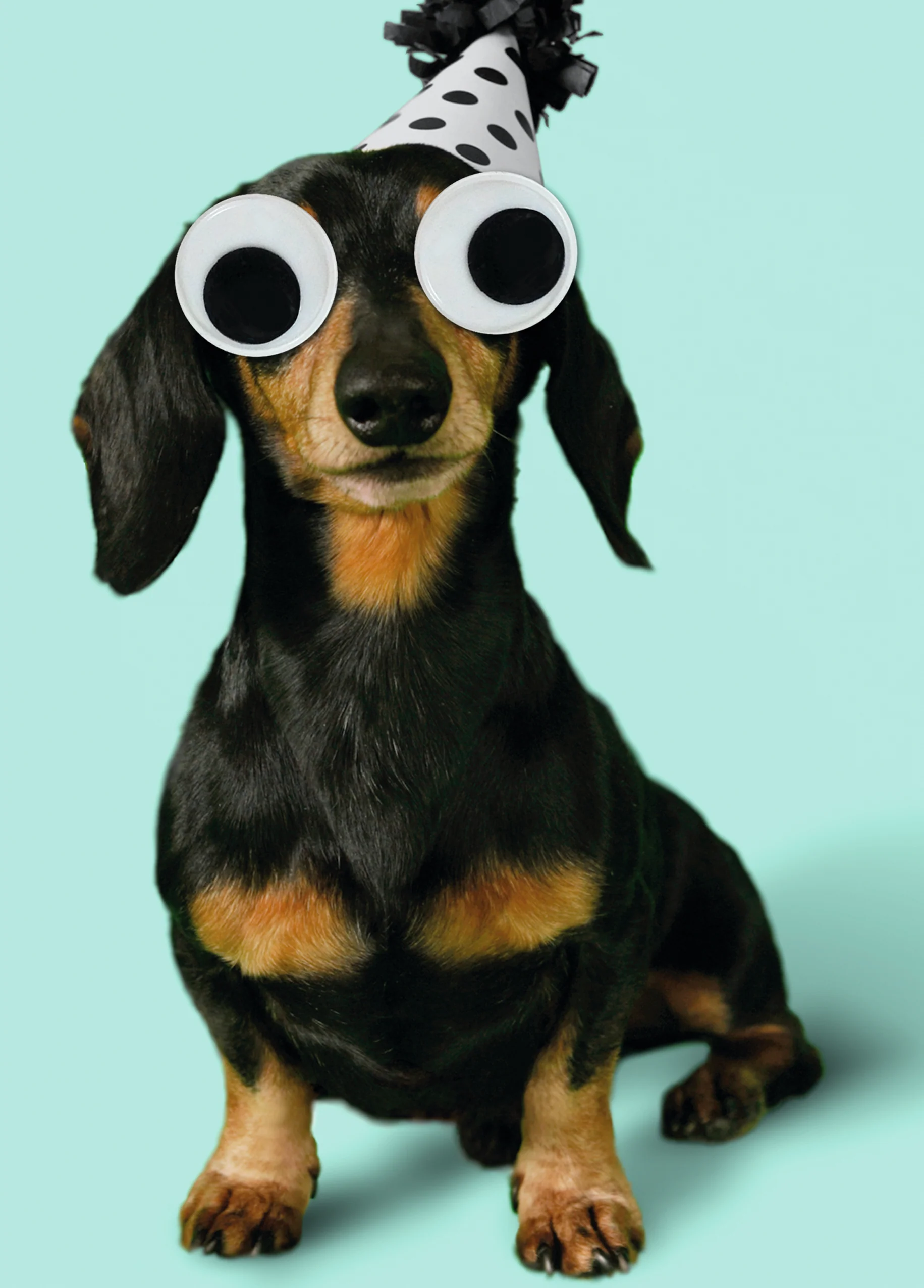Personalised Editable Wiener Dog Photo Birthday Card
