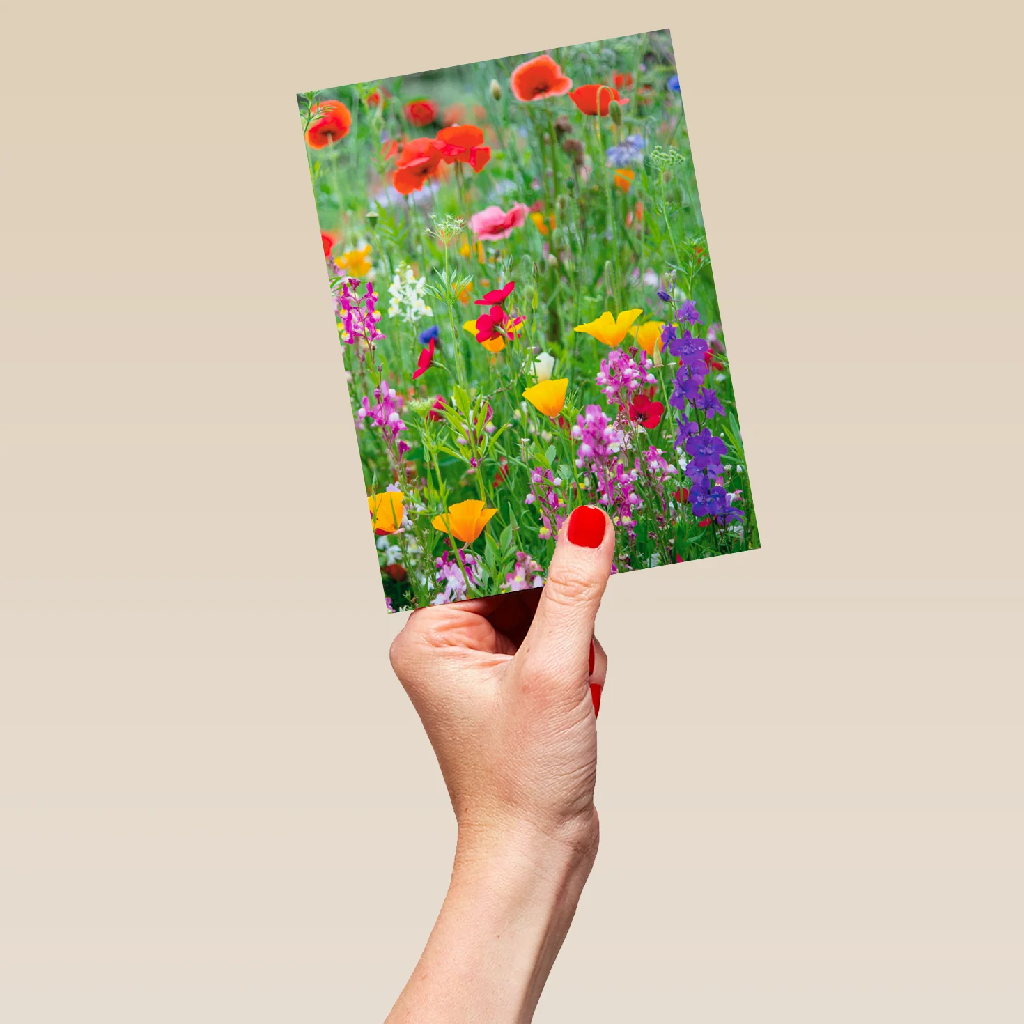Personalised Field Of Flowers Card - Image 5
