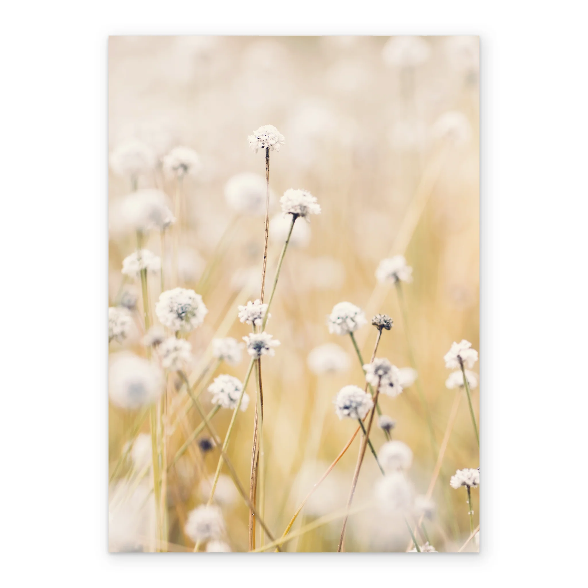 Personalised Field of Wild Flowers Card - Image 2