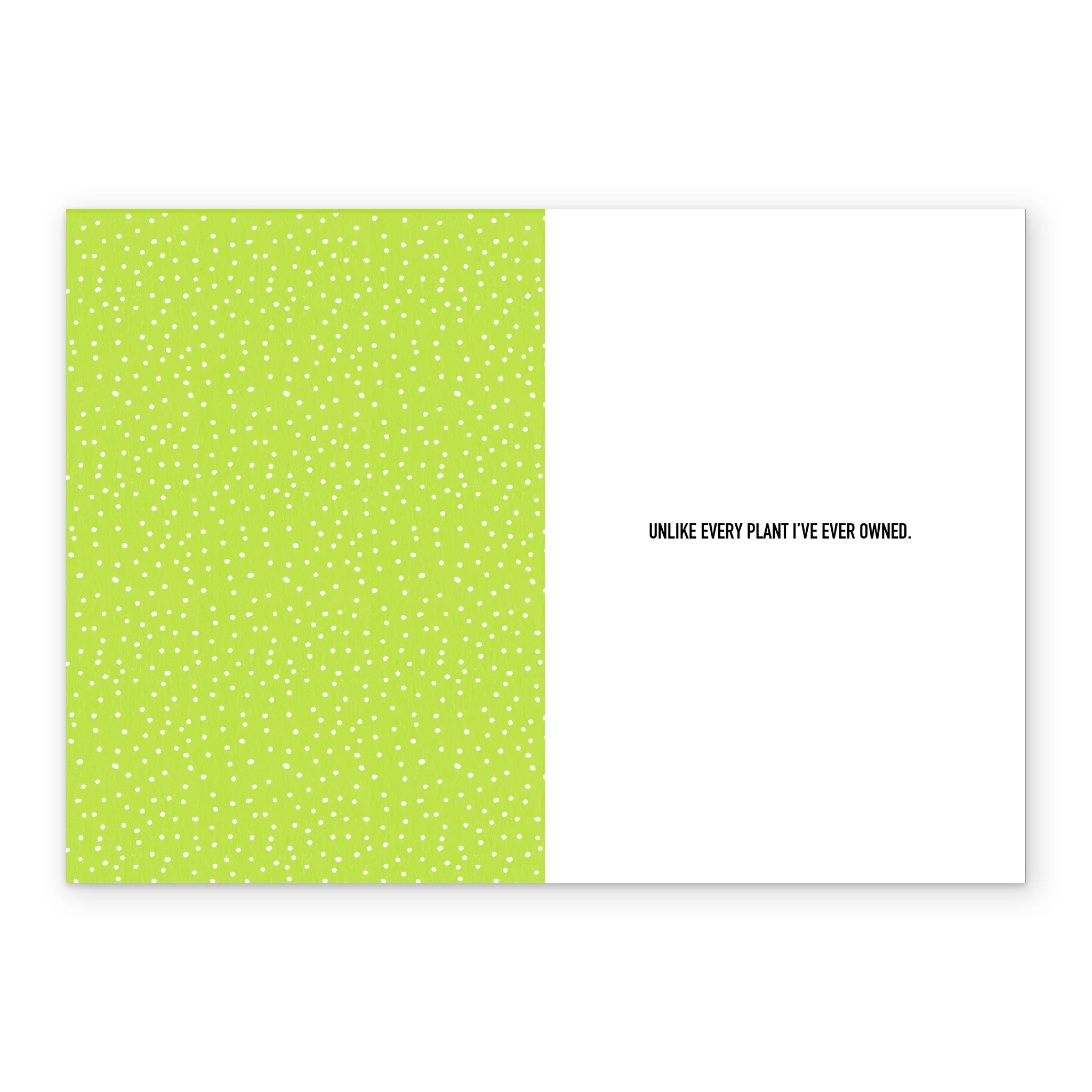 Personalised For Her Funny Cactus Birthday Card - Image 3