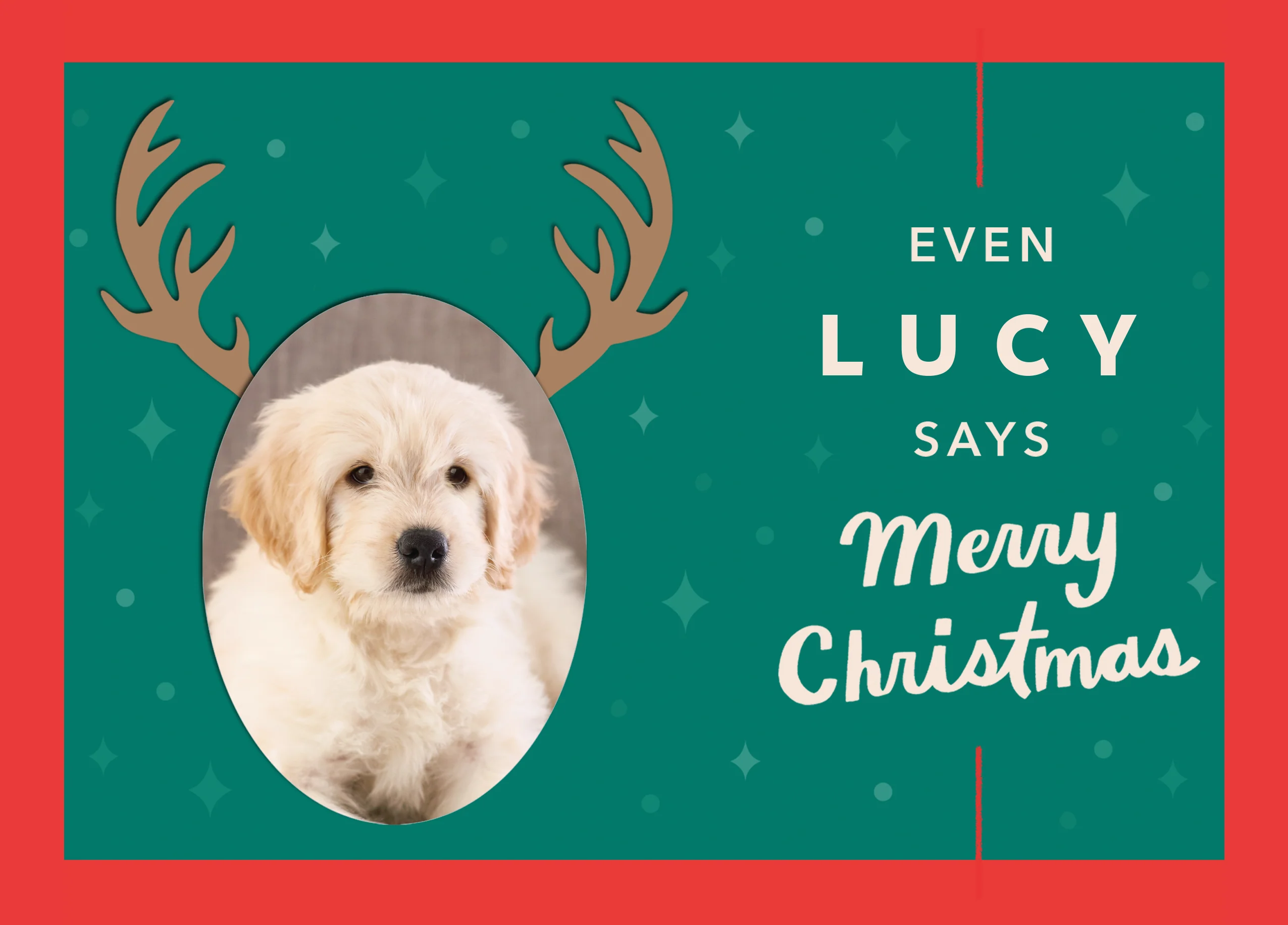 Personalised 'From the Pet' Photo Upload Christmas Card