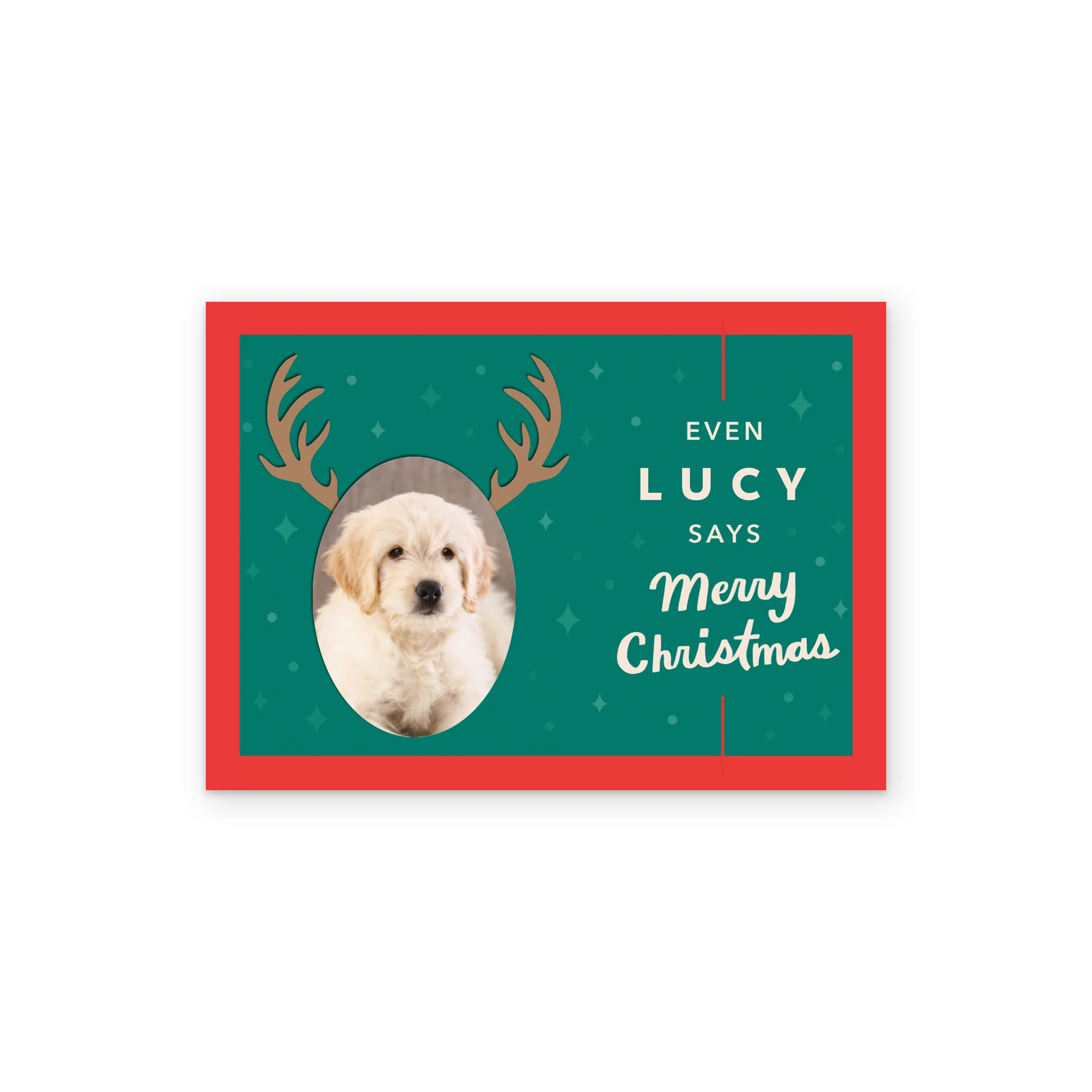 Personalised 'From the Pet' Photo Upload Christmas Card - Image 2
