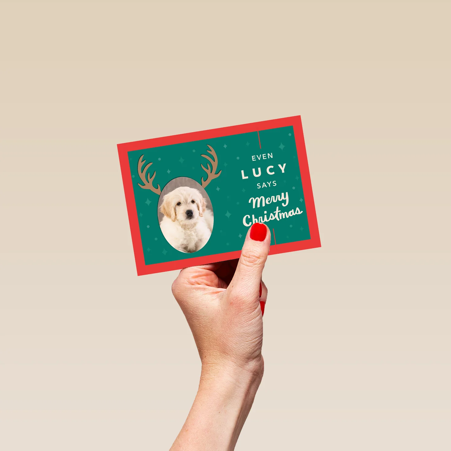 Personalised 'From the Pet' Photo Upload Christmas Card - Image 4