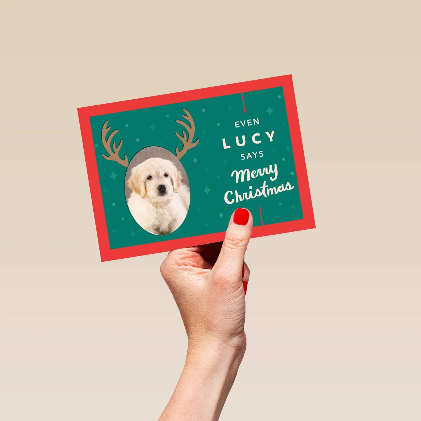 Personalised 'From the Pet' Photo Upload Christmas Card - Image 5