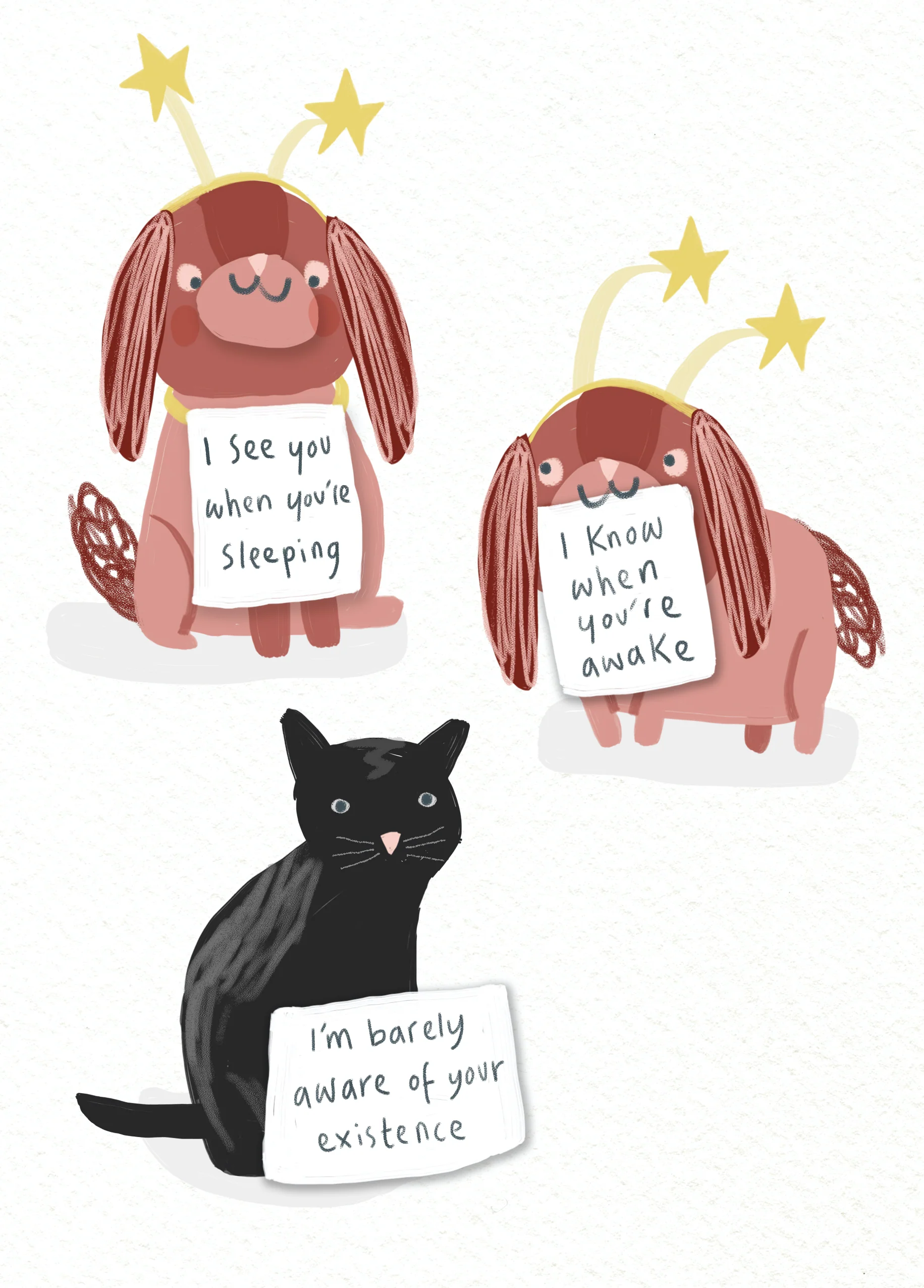 Personalised Funny Cat & Dog Humour Christmas Card