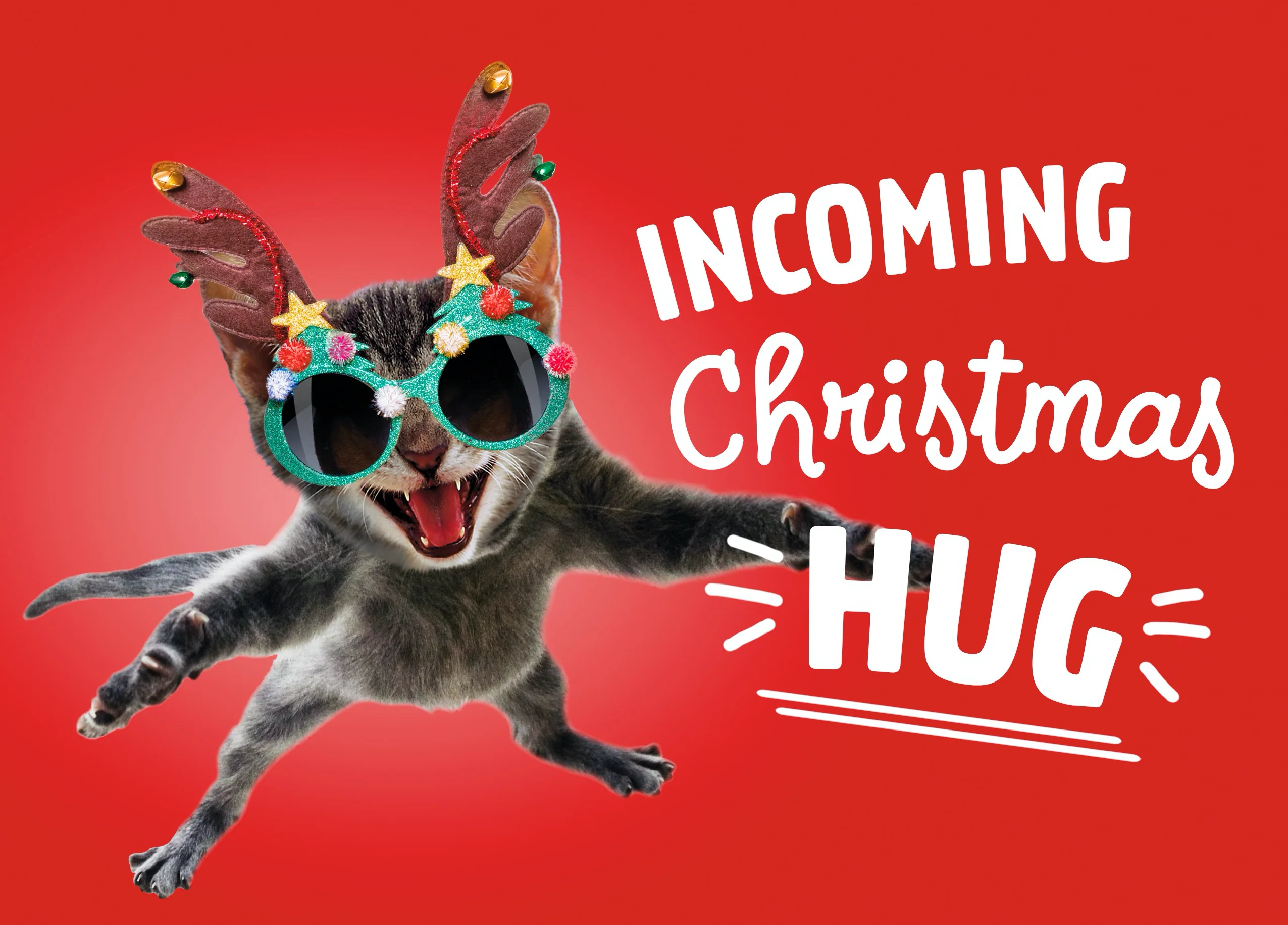 Personalised Funny Cat Hug Christmas Card
