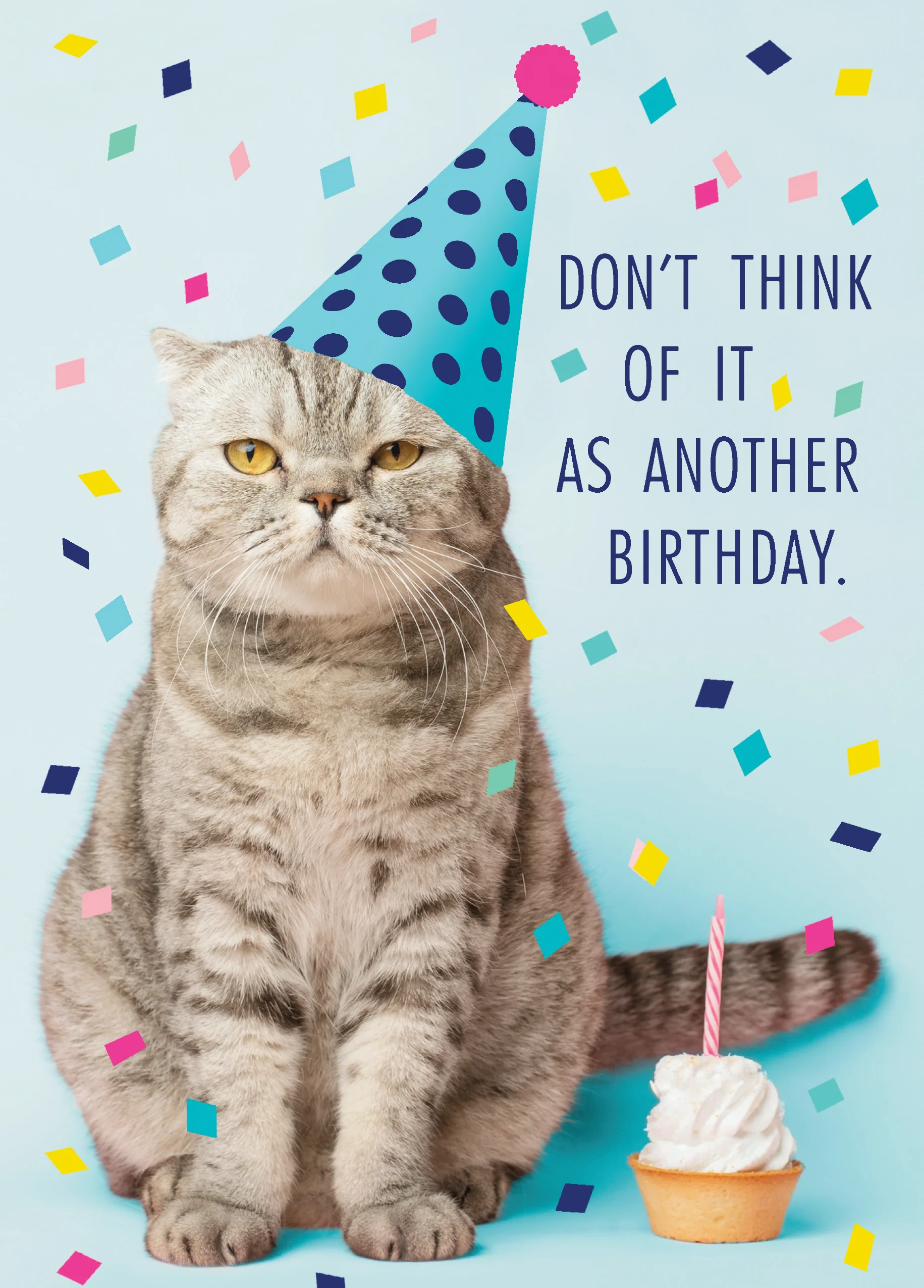 Personalised Funny Cat In Party Hat Birthday Card