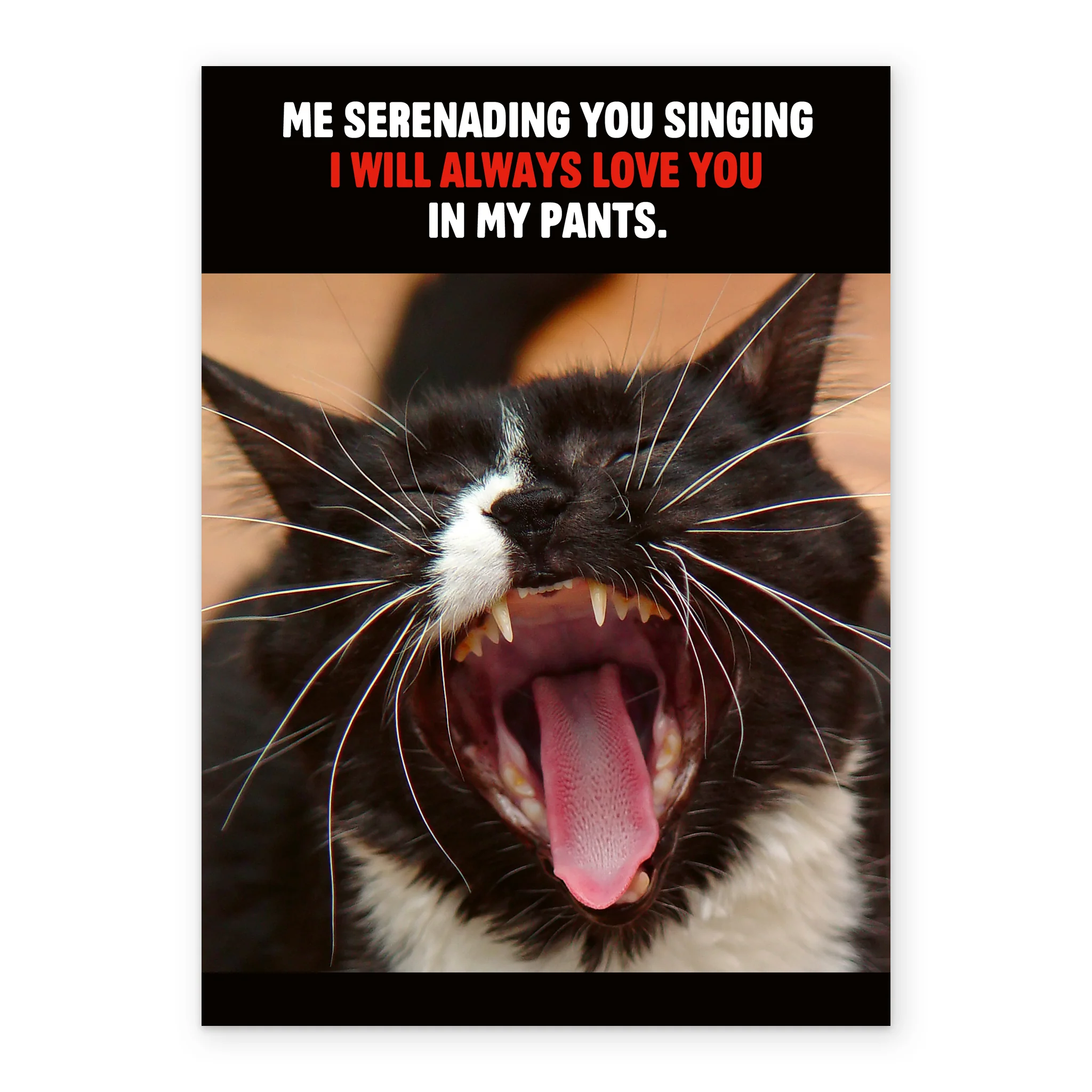 Personalised Funny Cat Laughing Valentine's Day Card - Image 2