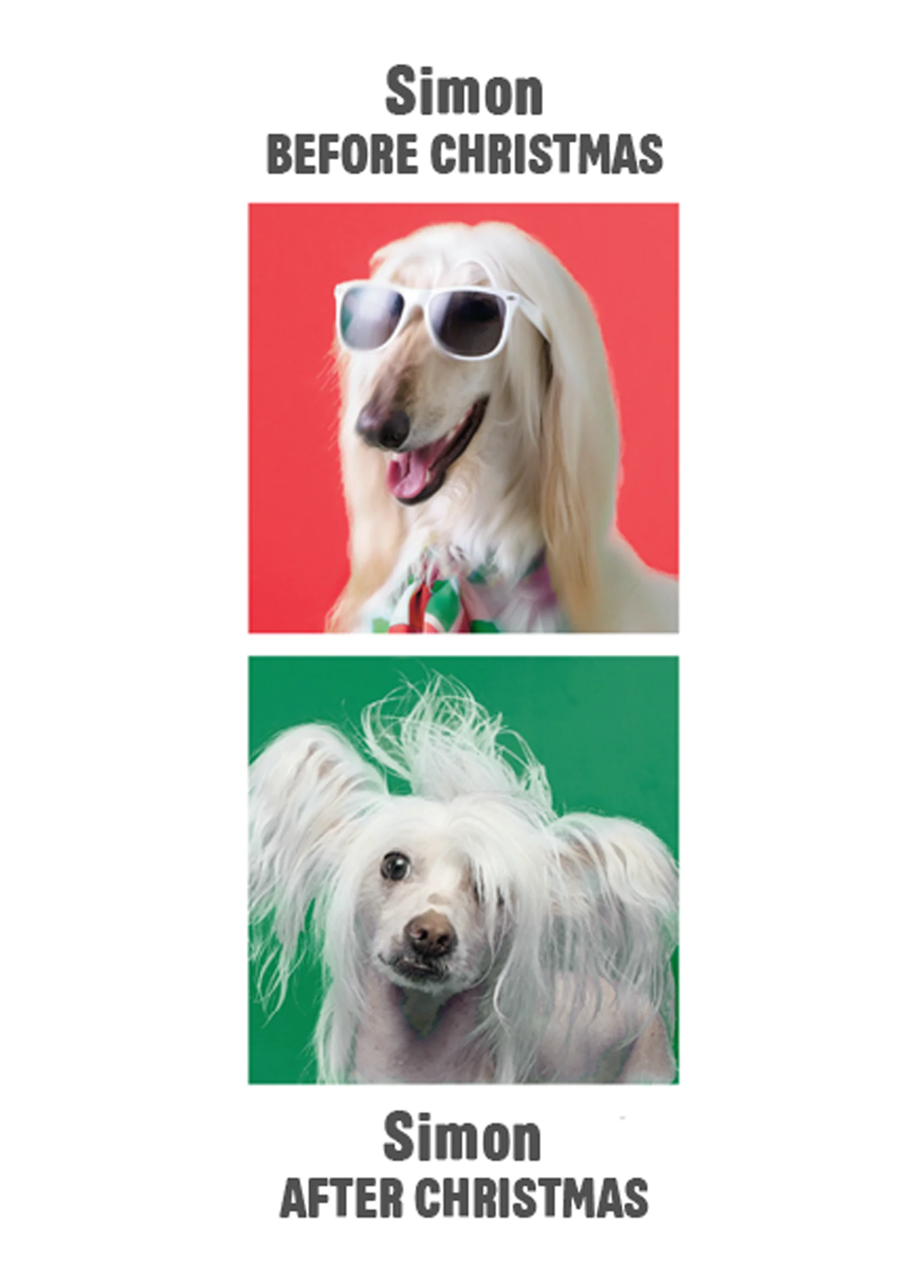 Personalised Funny Dogs Christmas Card