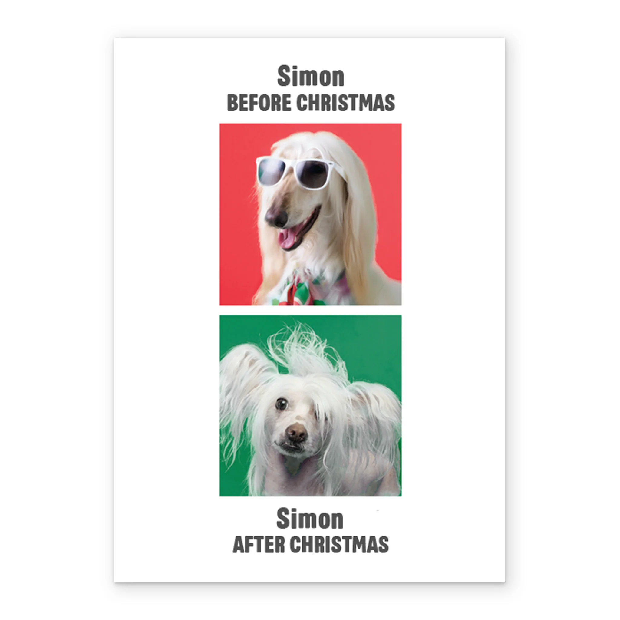 Personalised Funny Dogs Christmas Card - Image 2