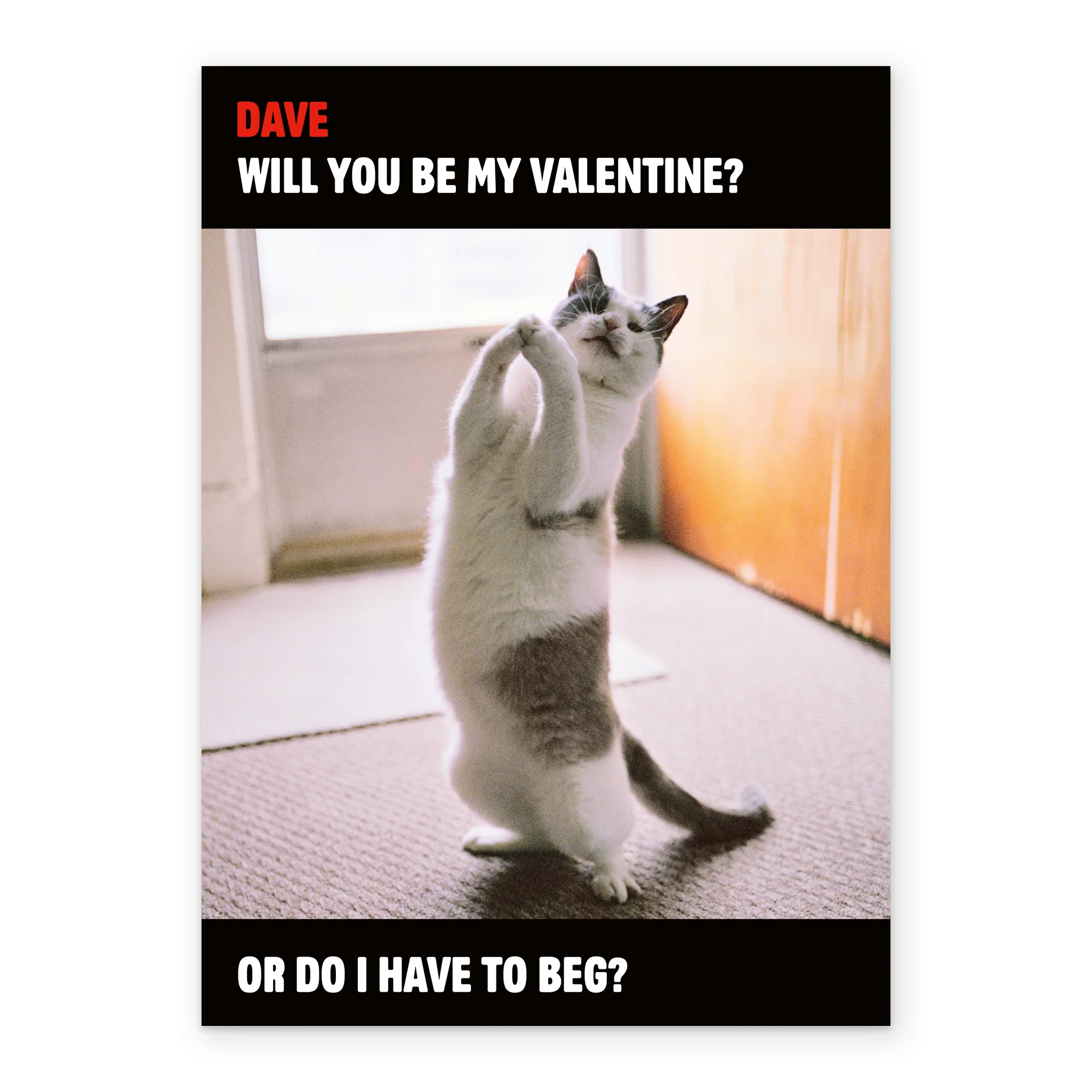 Personalised Funny Cute Cat Valentine's Day Card - Image 2