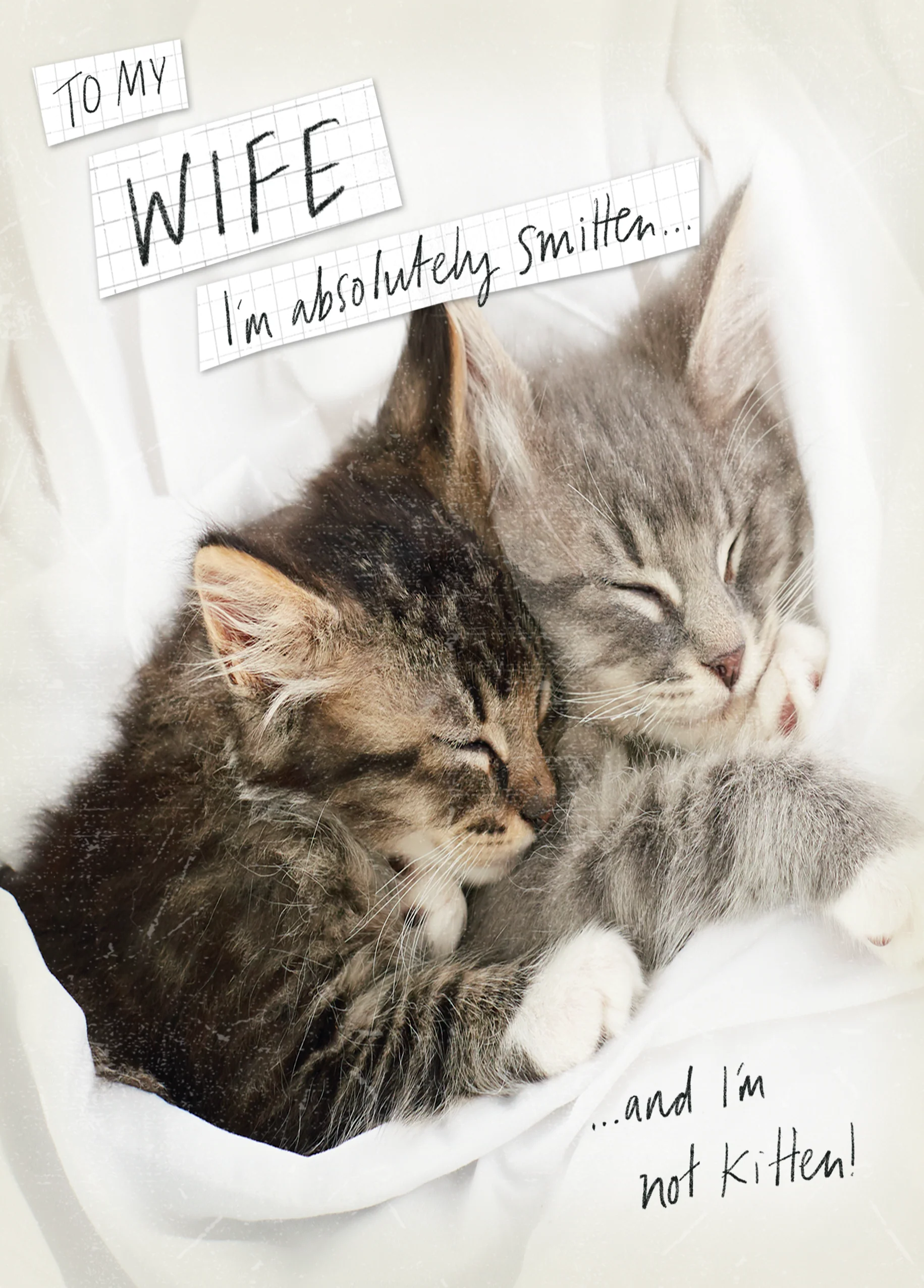 Personalised Funny Cute Kittens Valentine's Day Card for Wife