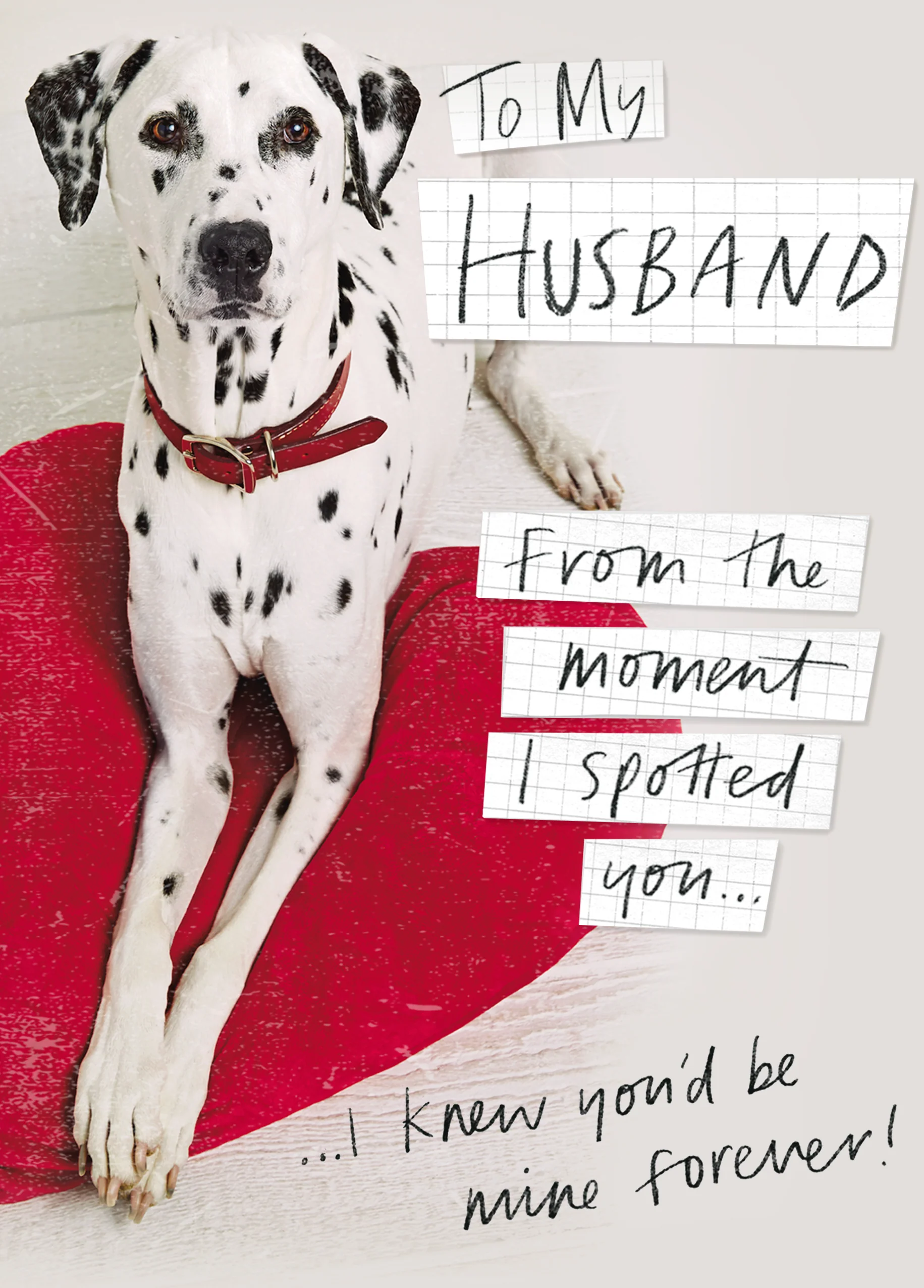 Personalised Funny Dalmatian Valentine's Day Card for Husband