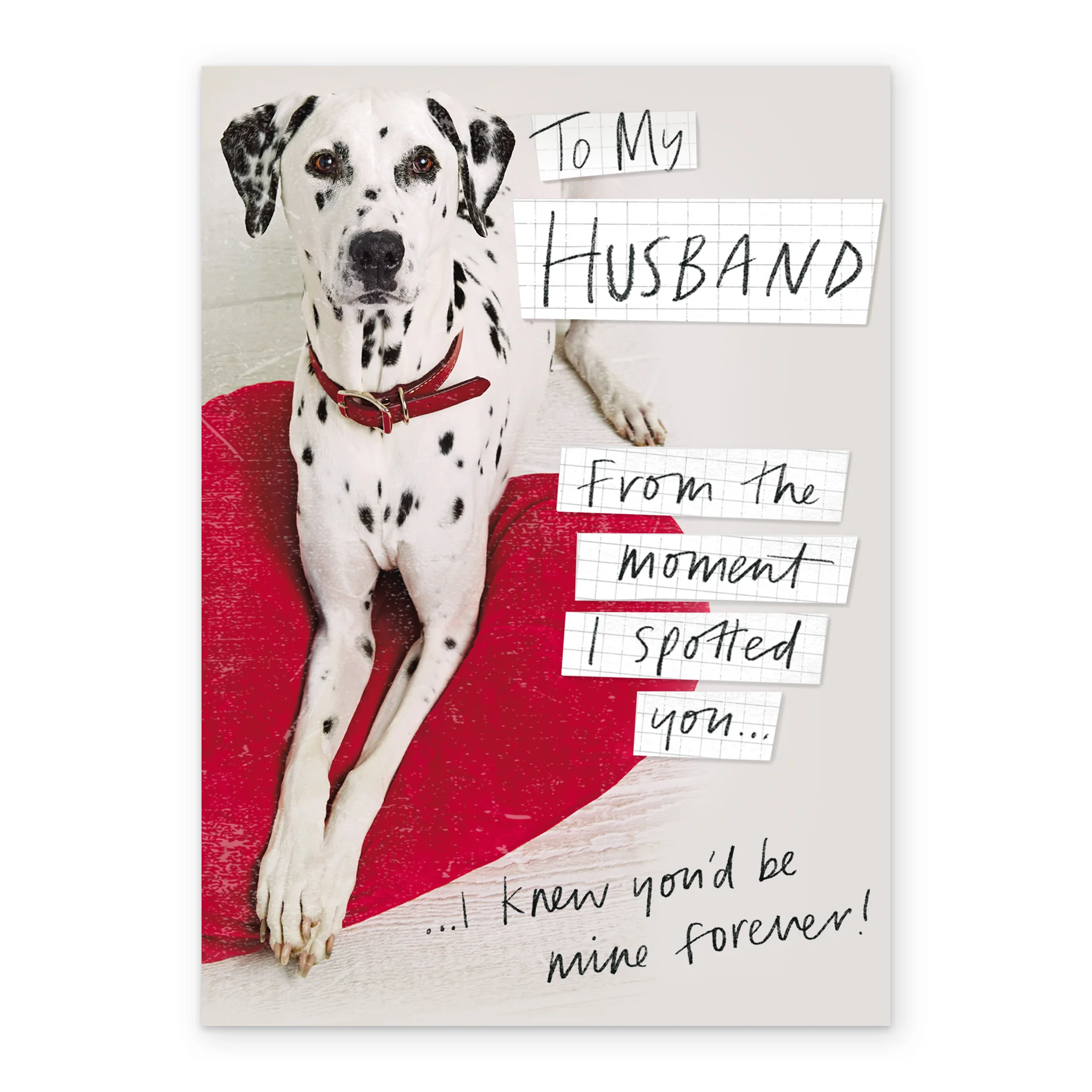 Personalised Funny Dalmatian Valentine's Day Card for Husband - Image 2