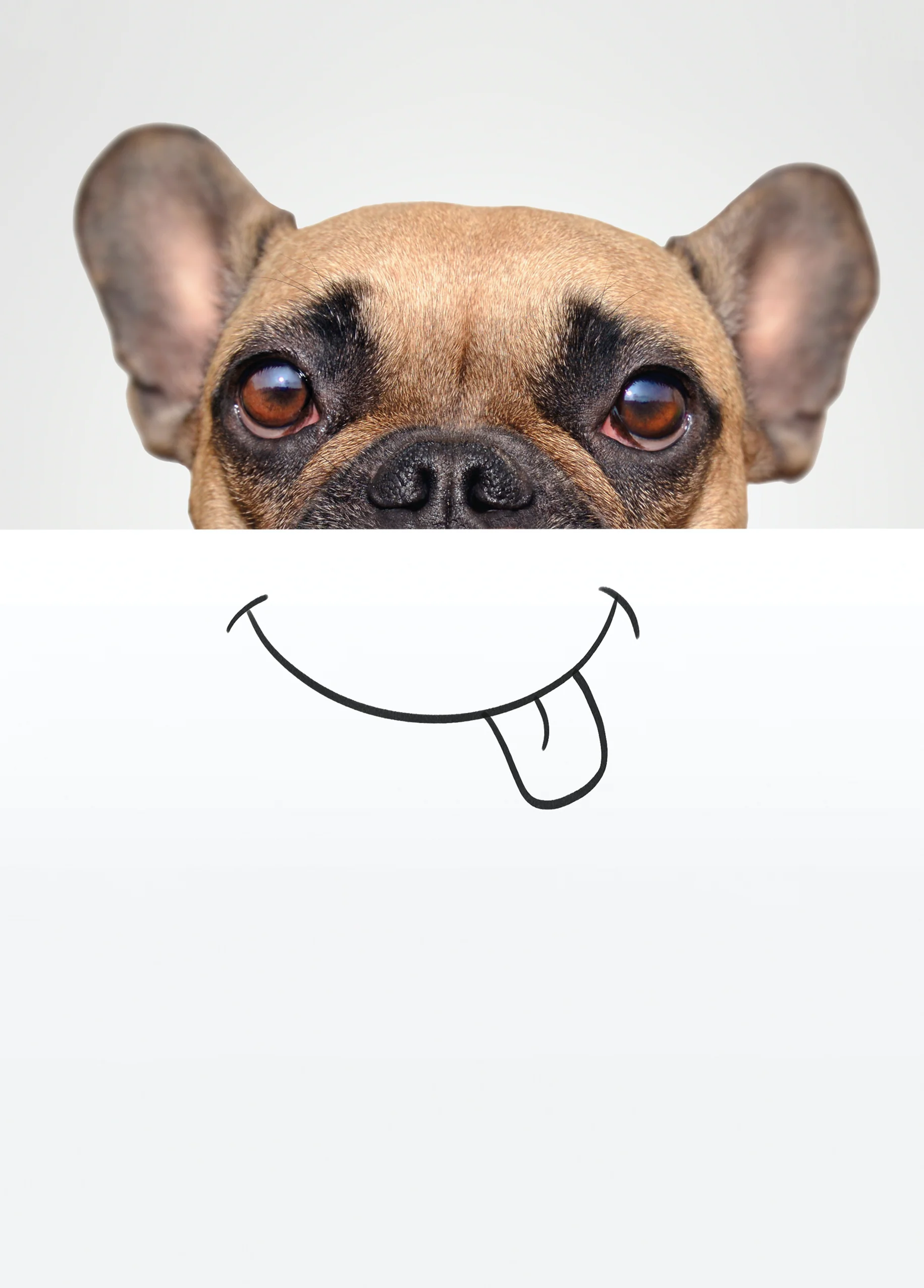 Personalised Funny Dog Cartoon Card