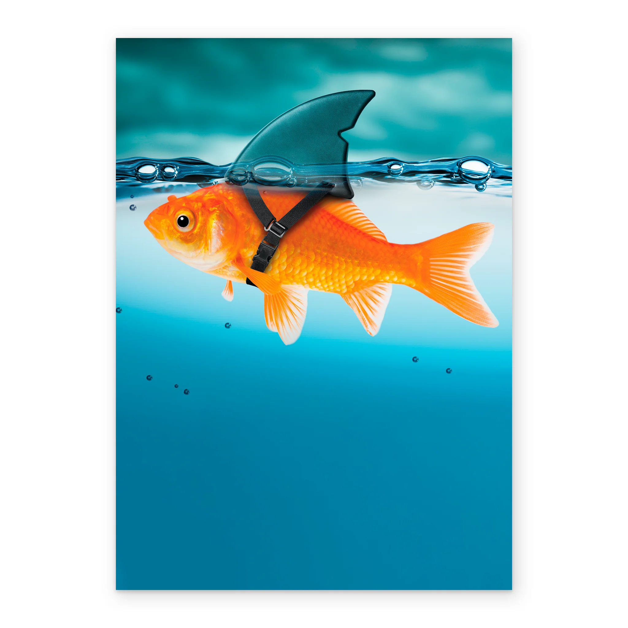 Personalised Funny Goldfish With Shark Fin Card - Image 2