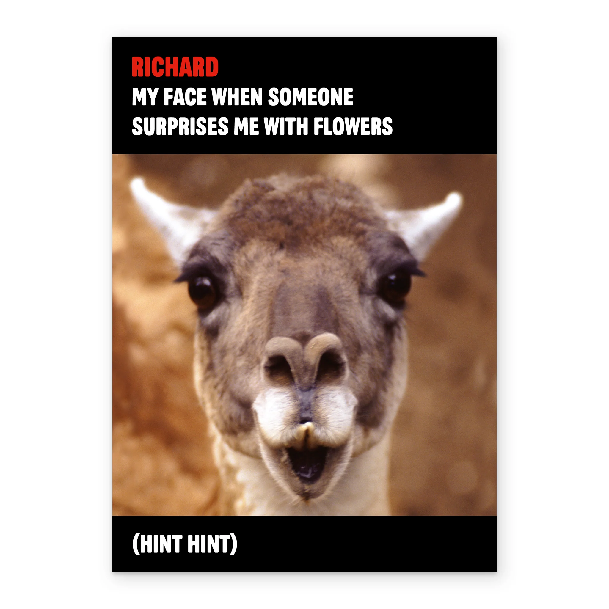 Personalised Funny Llama Photo Valentine's Day Card - Image 2