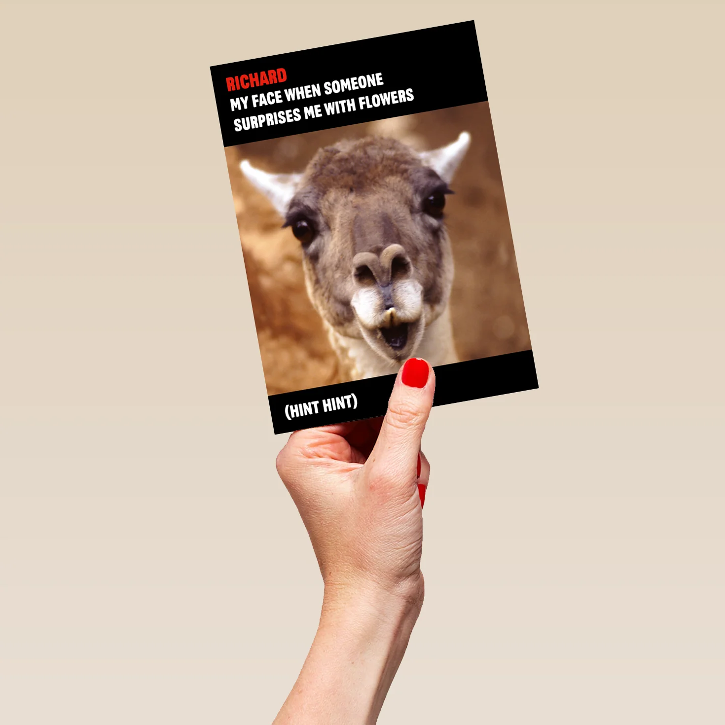 Personalised Funny Llama Photo Valentine's Day Card - Image 5