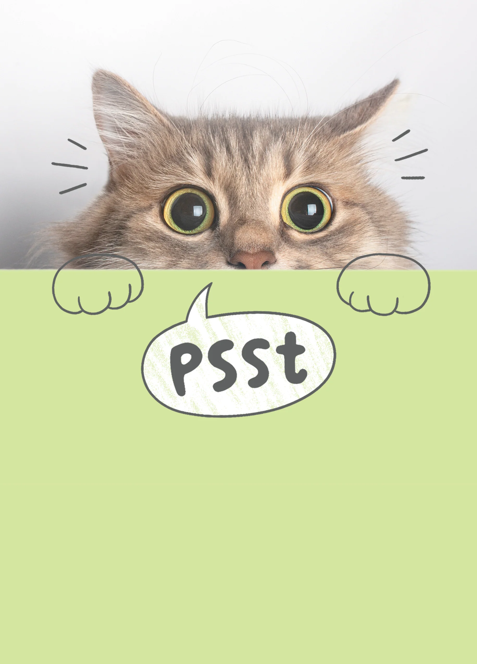 Personalised Funny Photographic Cat Just to Say Card