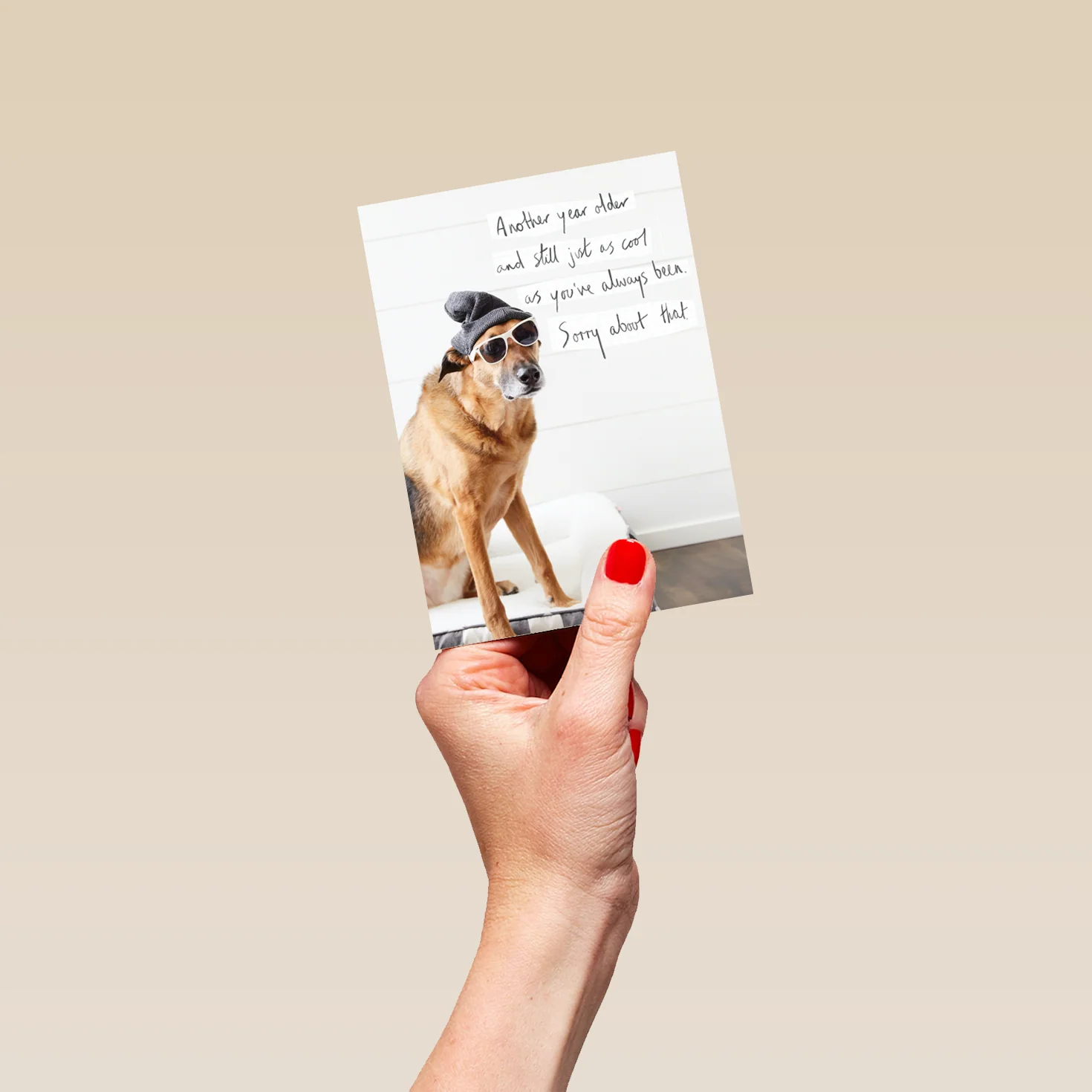 Personalised Funny Photographic Dog Birthday Card - Image 4