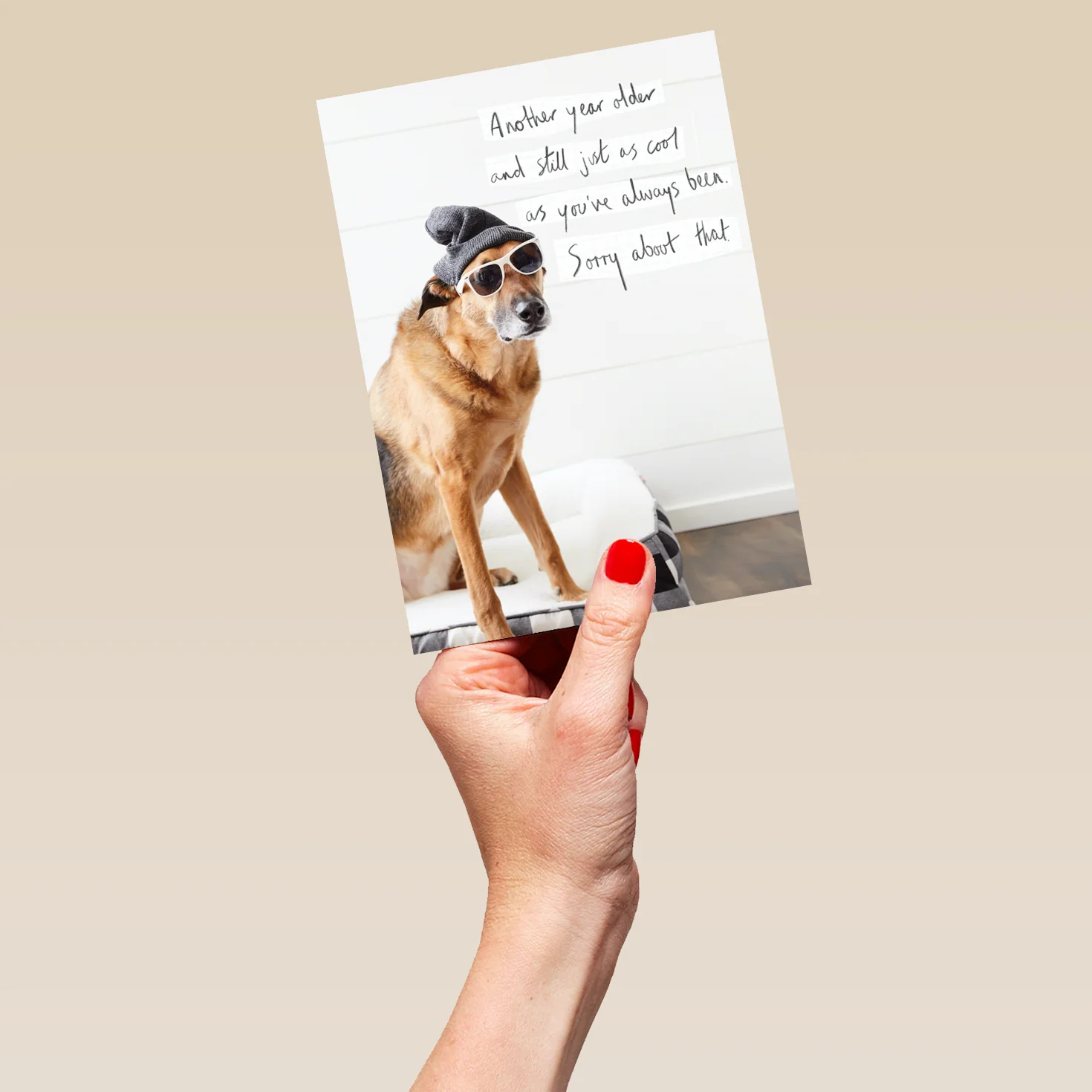 Personalised Funny Photographic Dog Birthday Card - Image 5