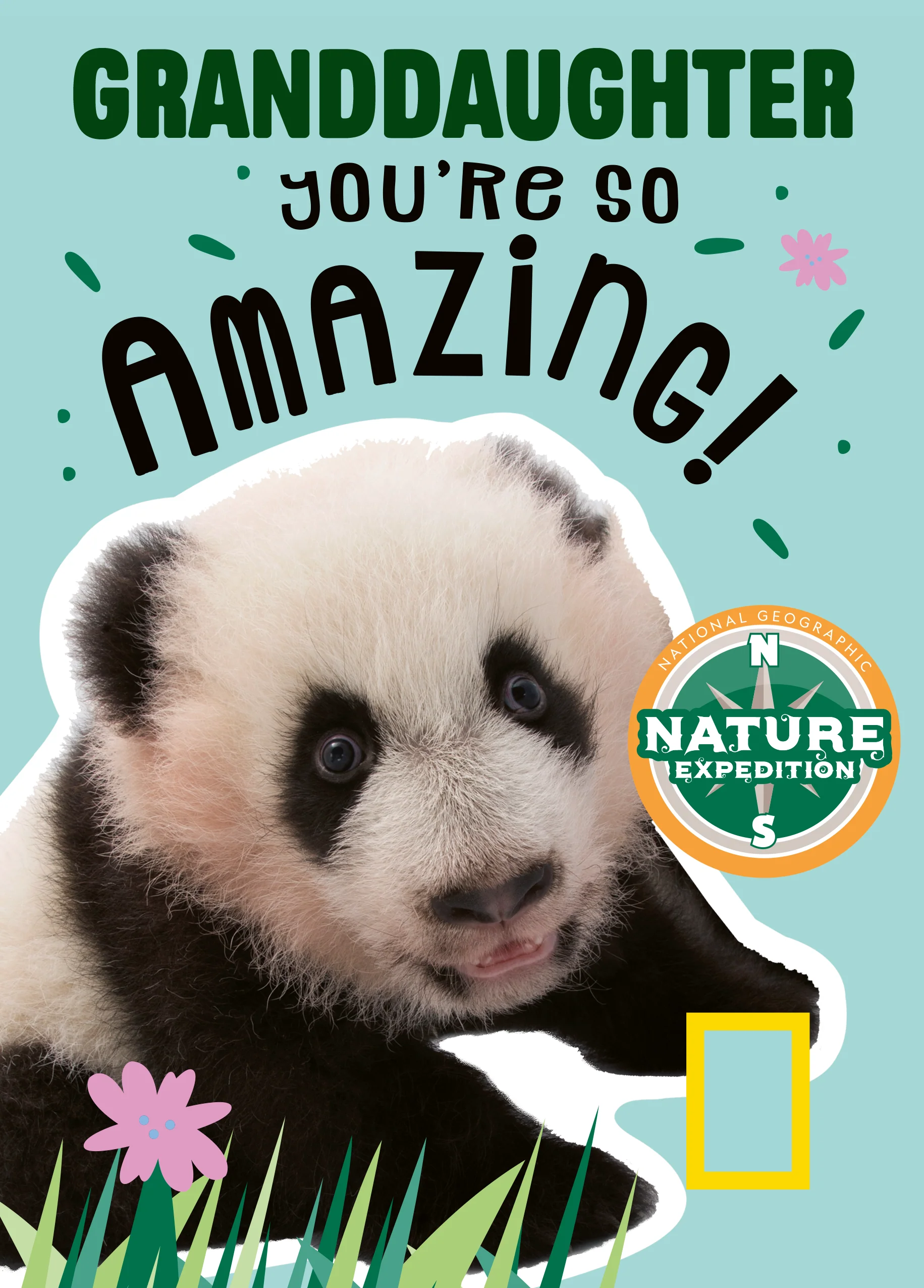 Personalised Granddaughter You're Amazing National Geographic Birthday Card