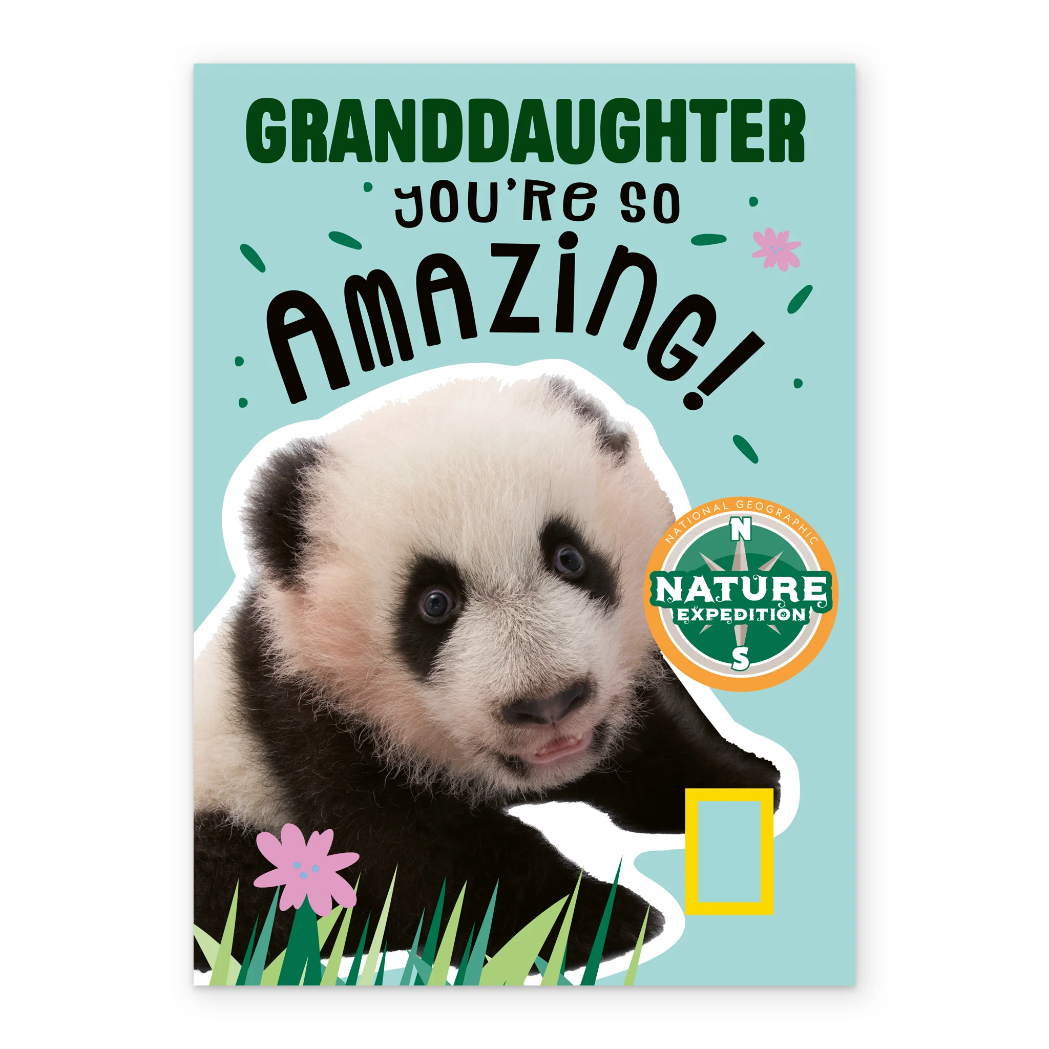 Personalised Granddaughter You're Amazing National Geographic Birthday Card - Image 2