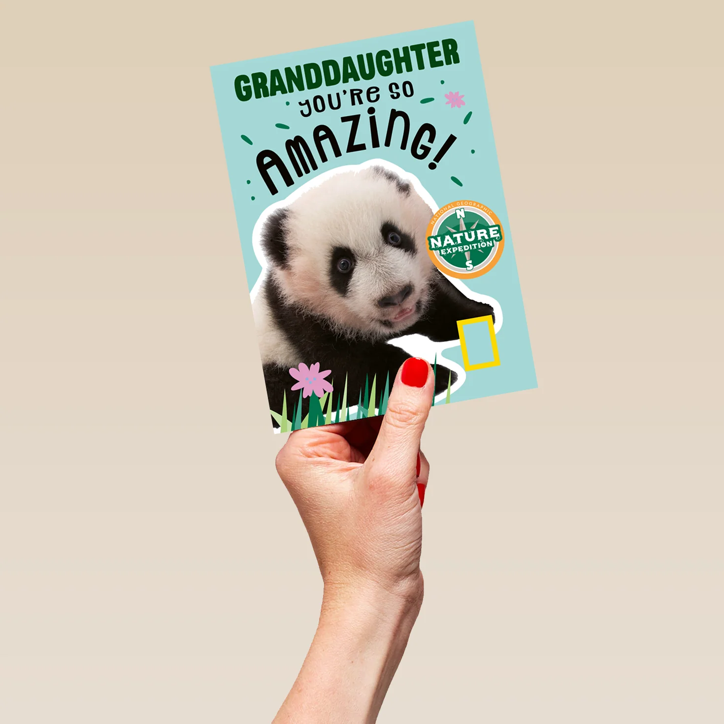 Personalised Granddaughter You're Amazing National Geographic Birthday Card - Image 5