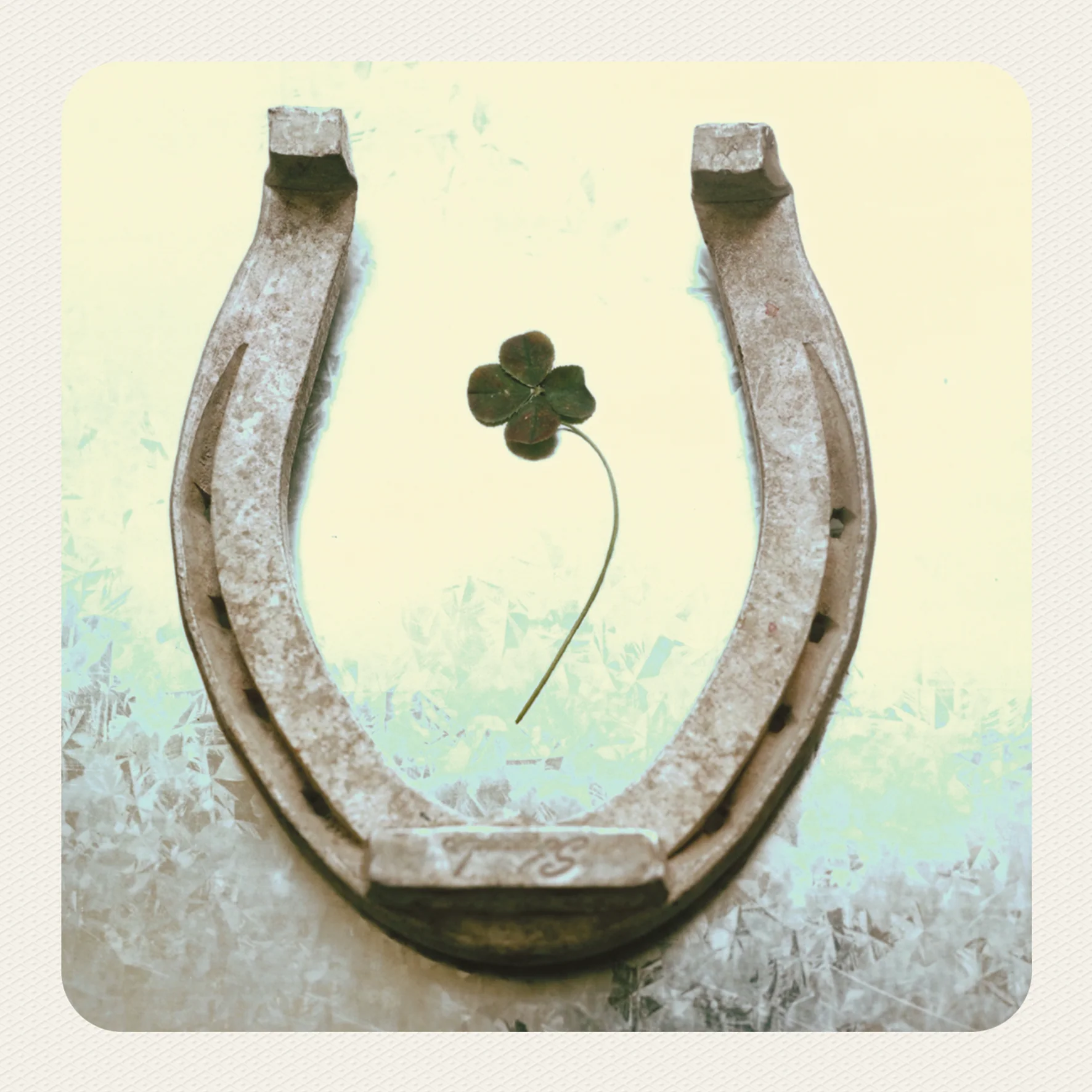 Personalised Horse Shoe & Four Leaf Clover Good Luck Card