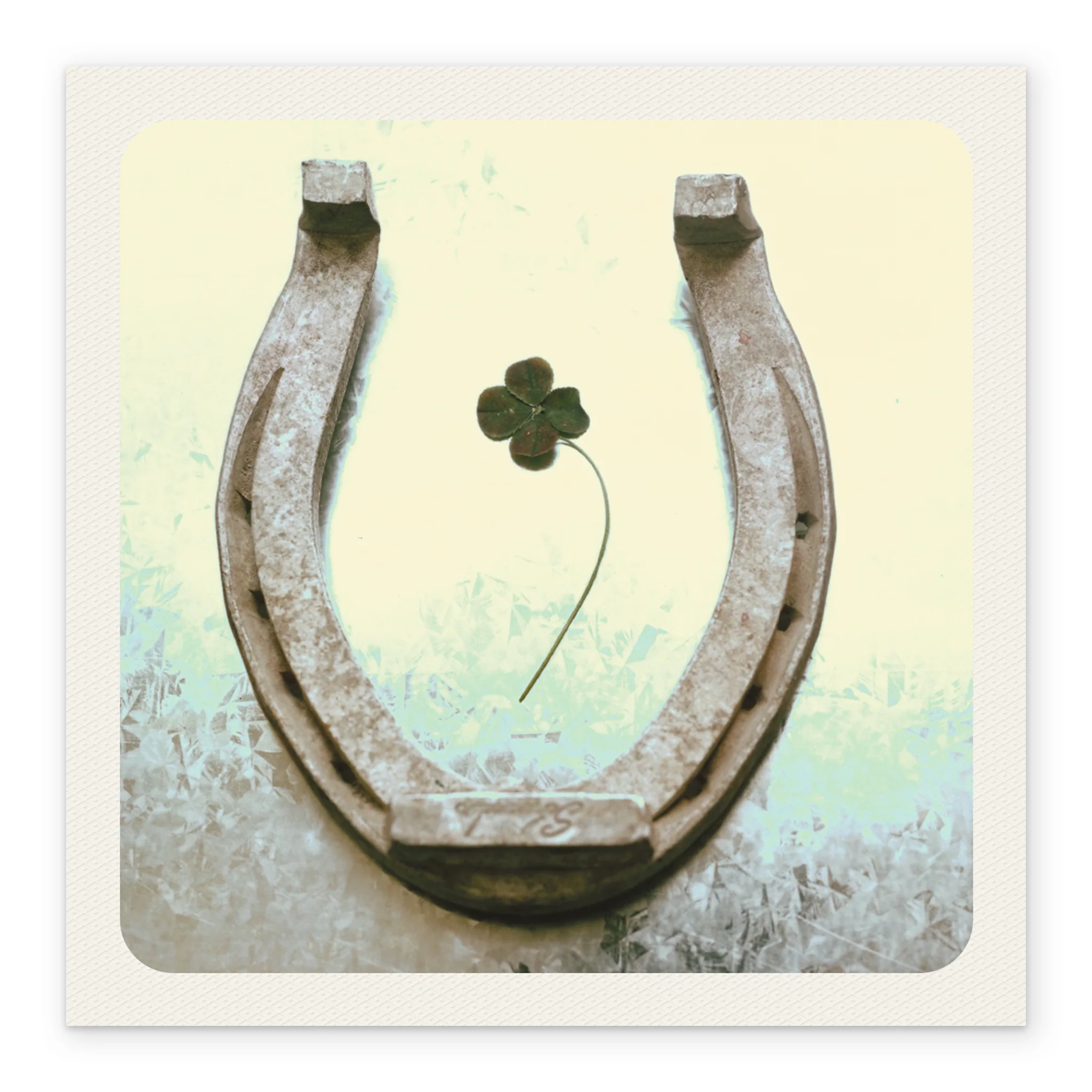 Personalised Horse Shoe & Four Leaf Clover Good Luck Card - Image 2