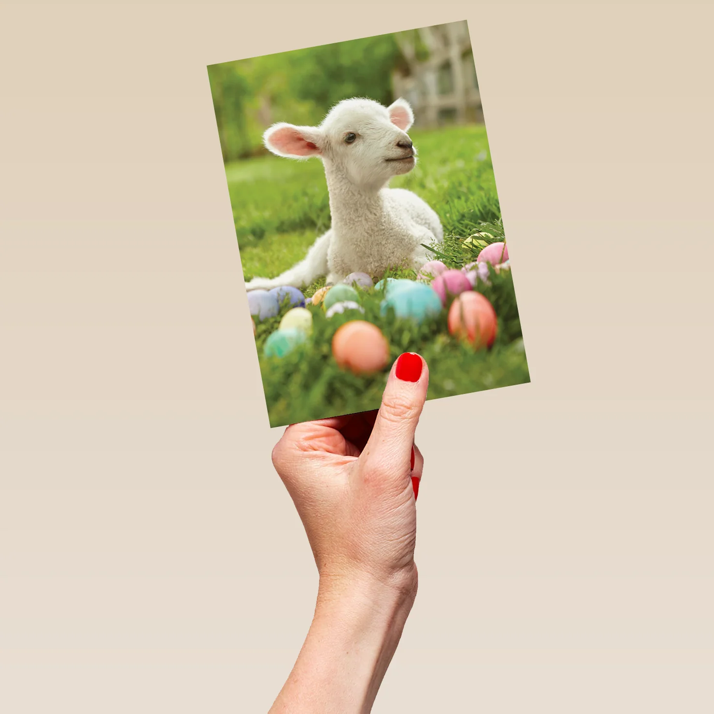 Personalised Lamb And Colourful Eggs Easter Card - Image 5