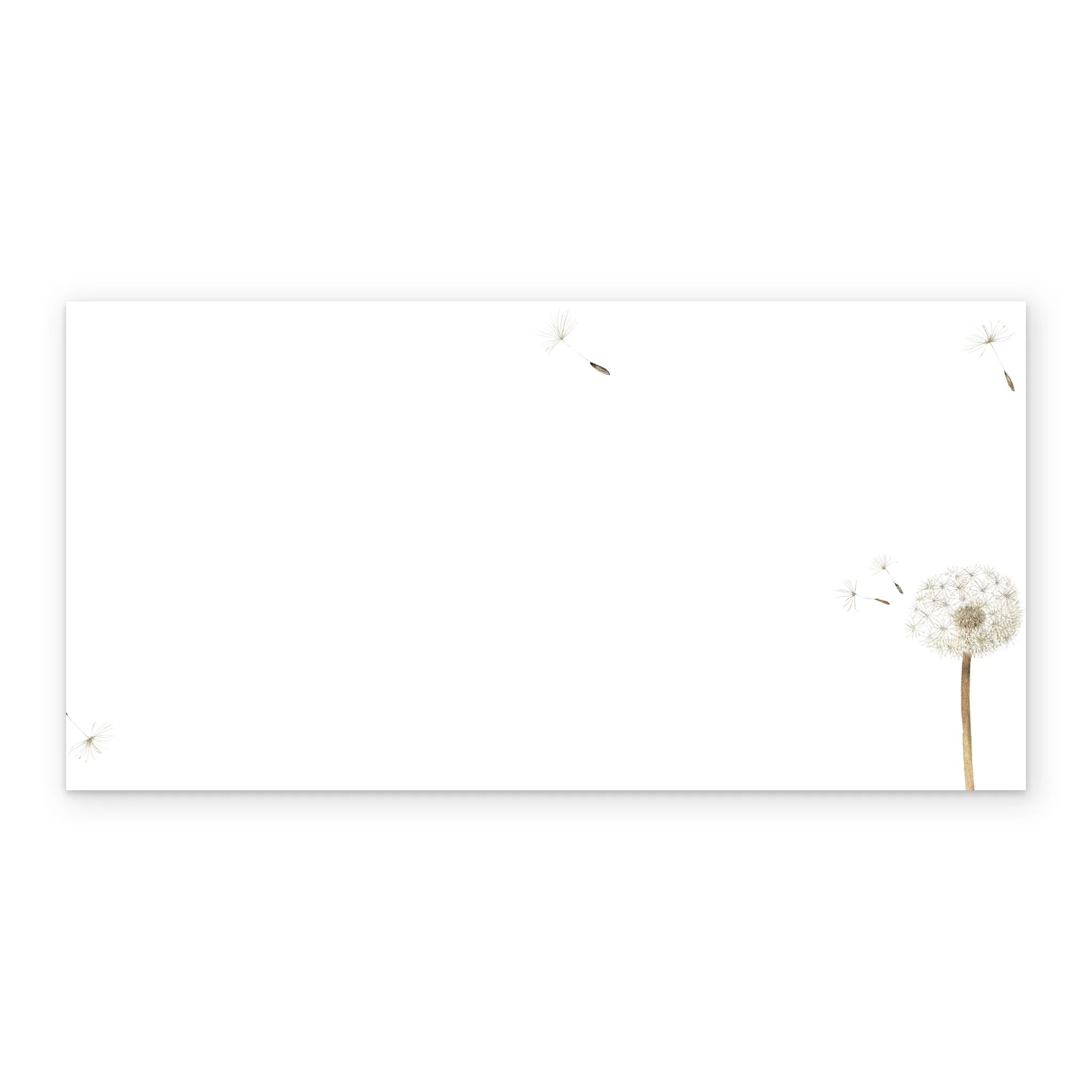 Personalised Marjolein Bastin Sympathy Card - Floral Artwork Design - Image 3