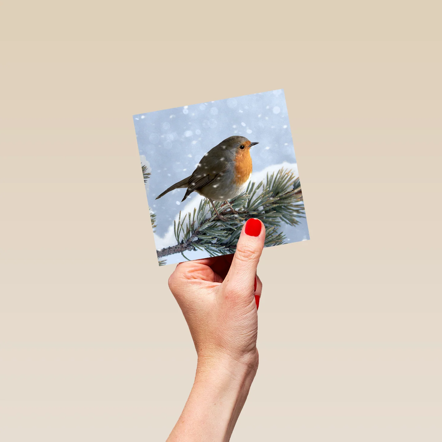Personalised Modern Christmas Photographic Robin Wildlife Card - Image 4