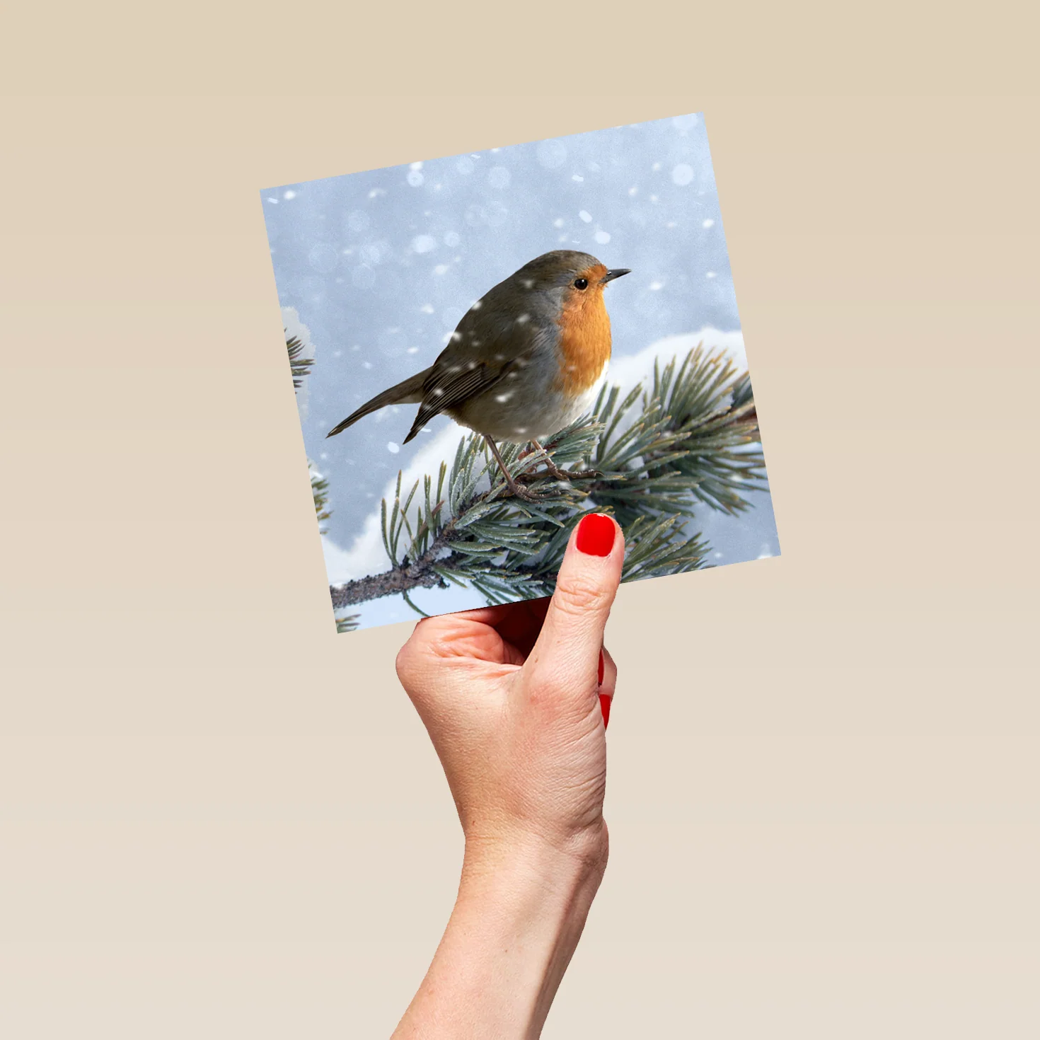 Personalised Modern Christmas Photographic Robin Wildlife Card - Image 5