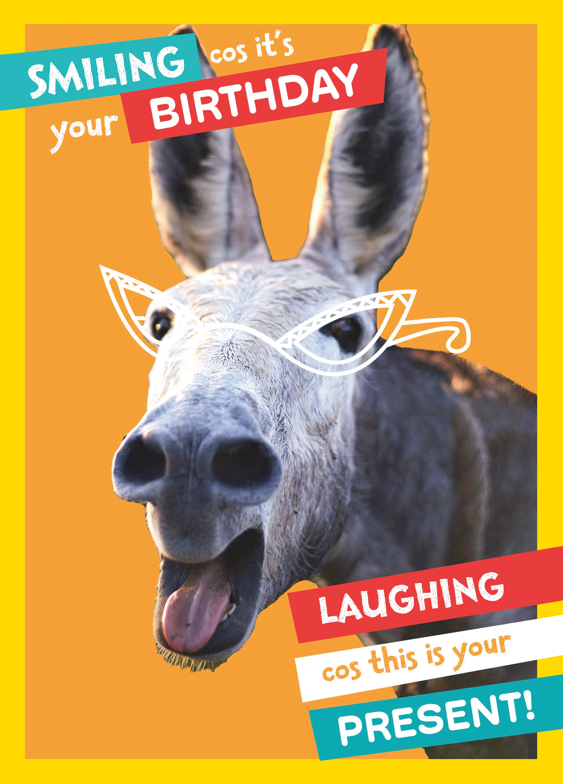 Personalised National Geographic Donkey Birthday Card