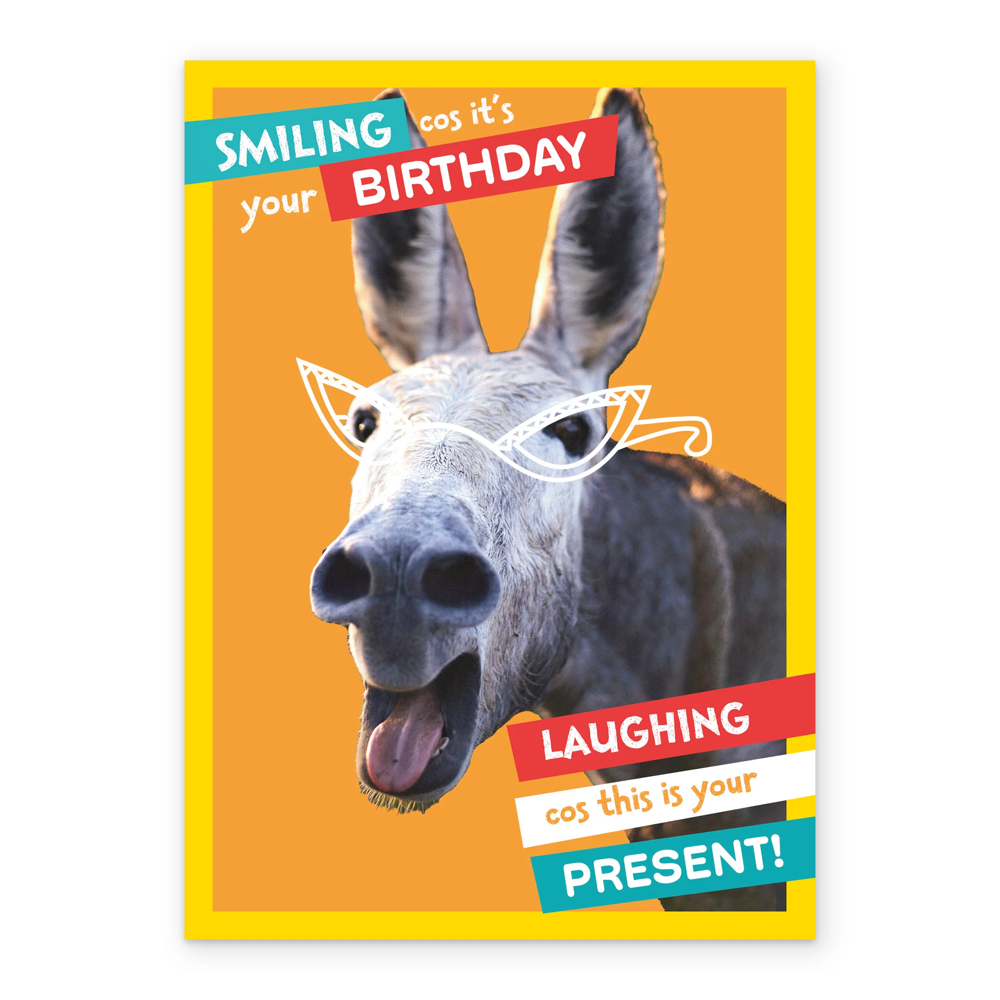 Personalised National Geographic Donkey Birthday Card - Image 2