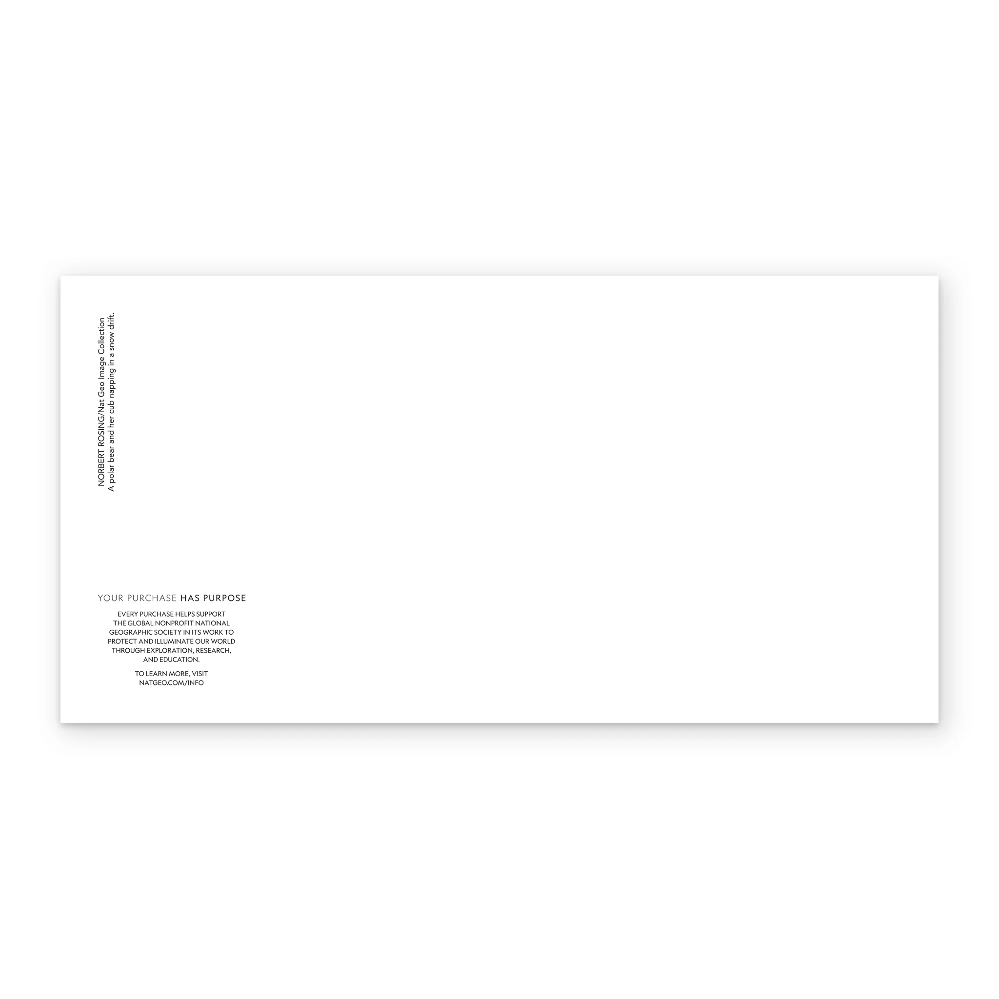 Personalised National Geographic Photographic Cute Polar Bears Christmas Card - Image 3