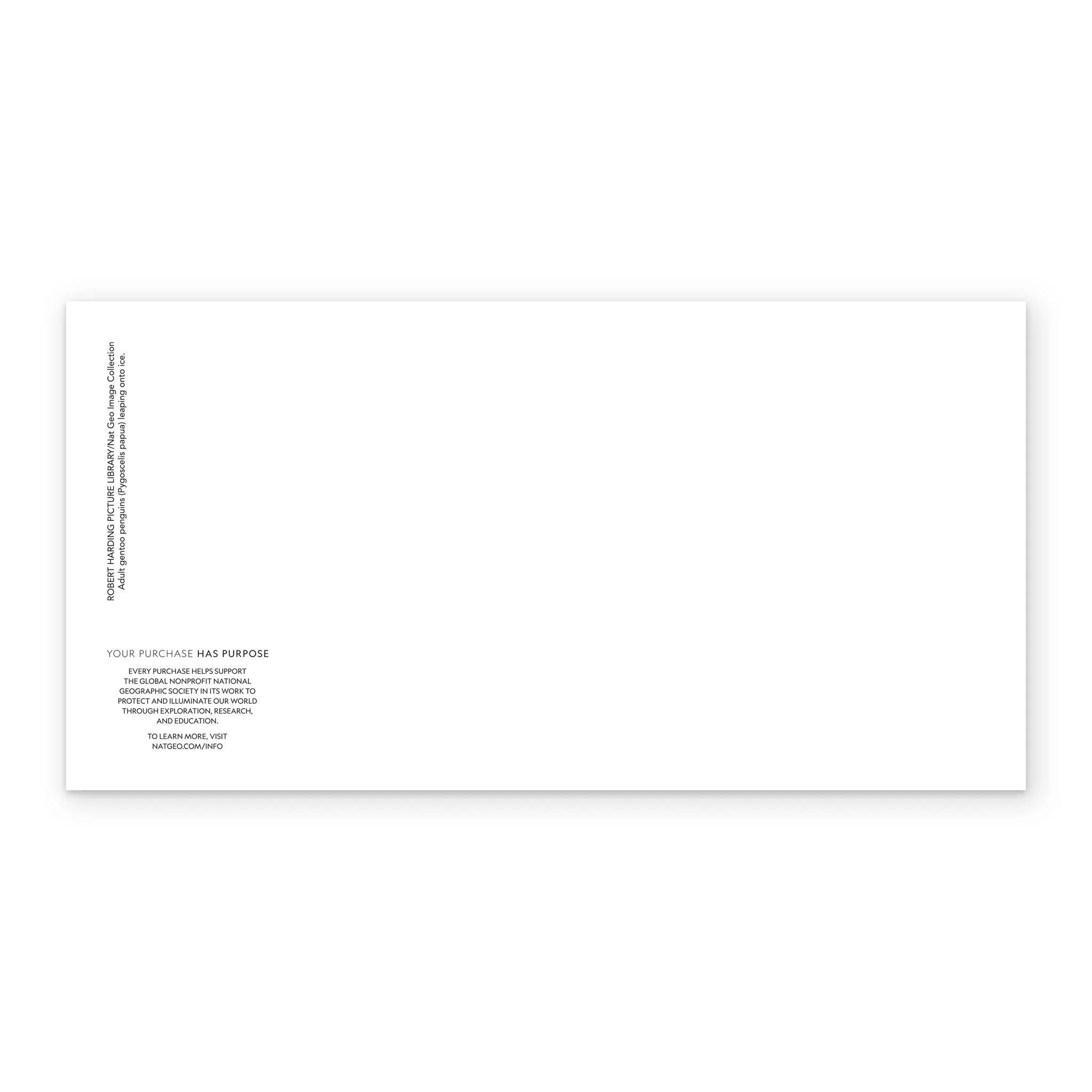 Personalised National Geographic Photographic Leaping Penguins Christmas Card - Image 3