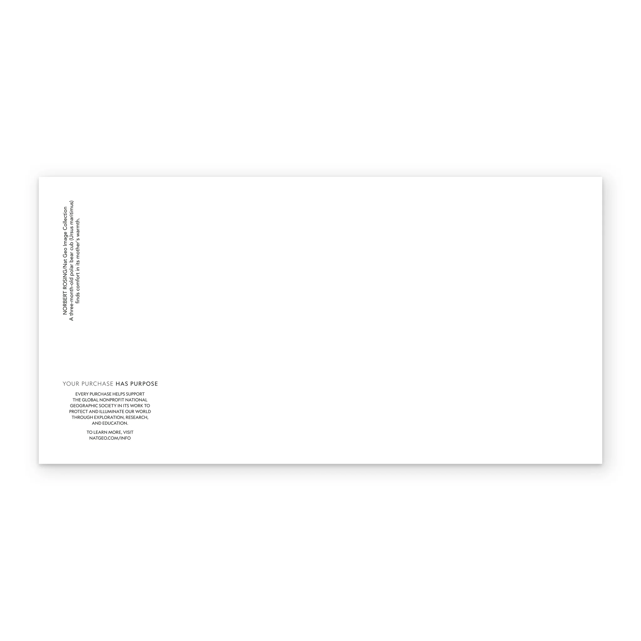 Personalised National Geographic Photographic Polar Bears Christmas Card - Image 3