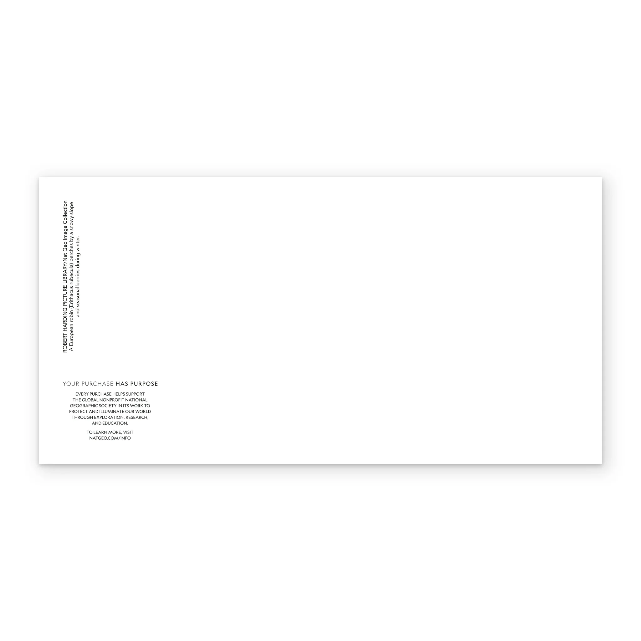 Personalised National Geographic Photographic Robin Christmas Card - Image 3