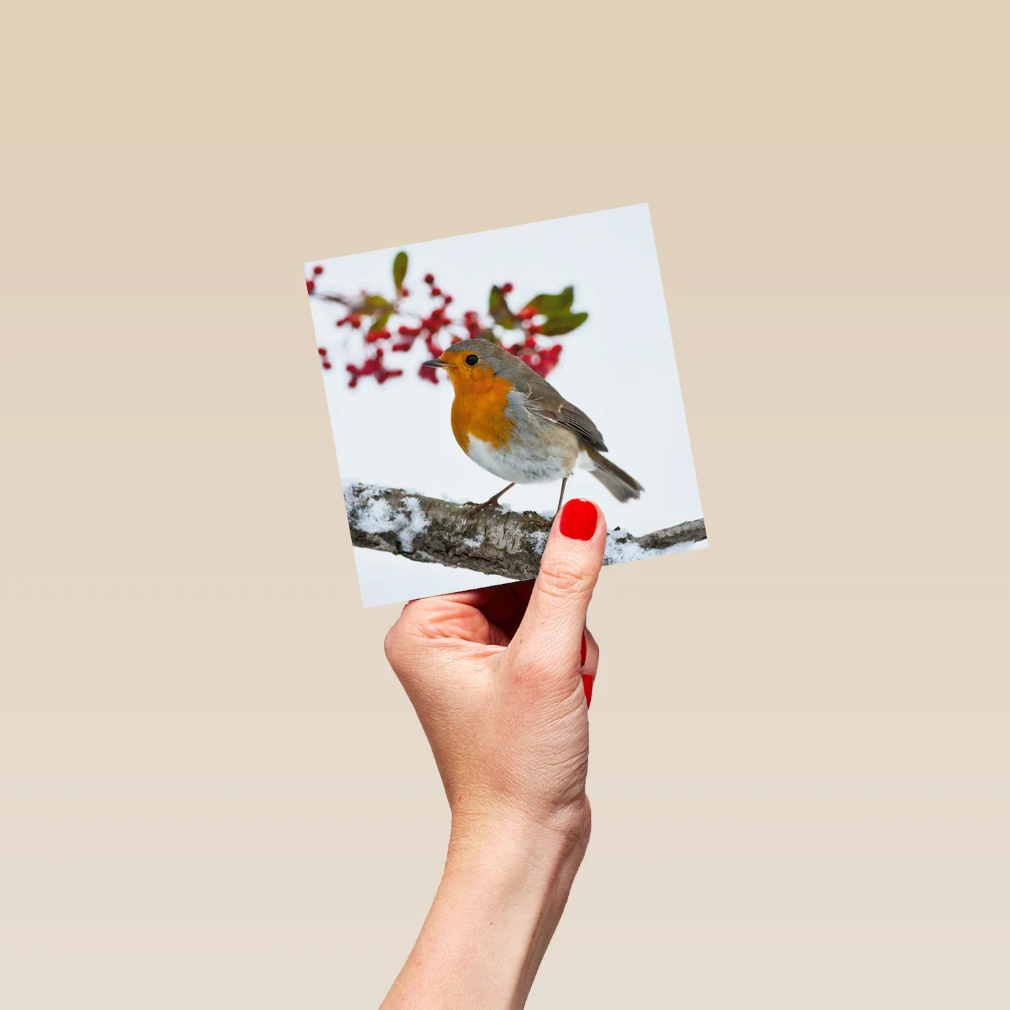 Personalised National Geographic Photographic Robin Christmas Card - Image 4