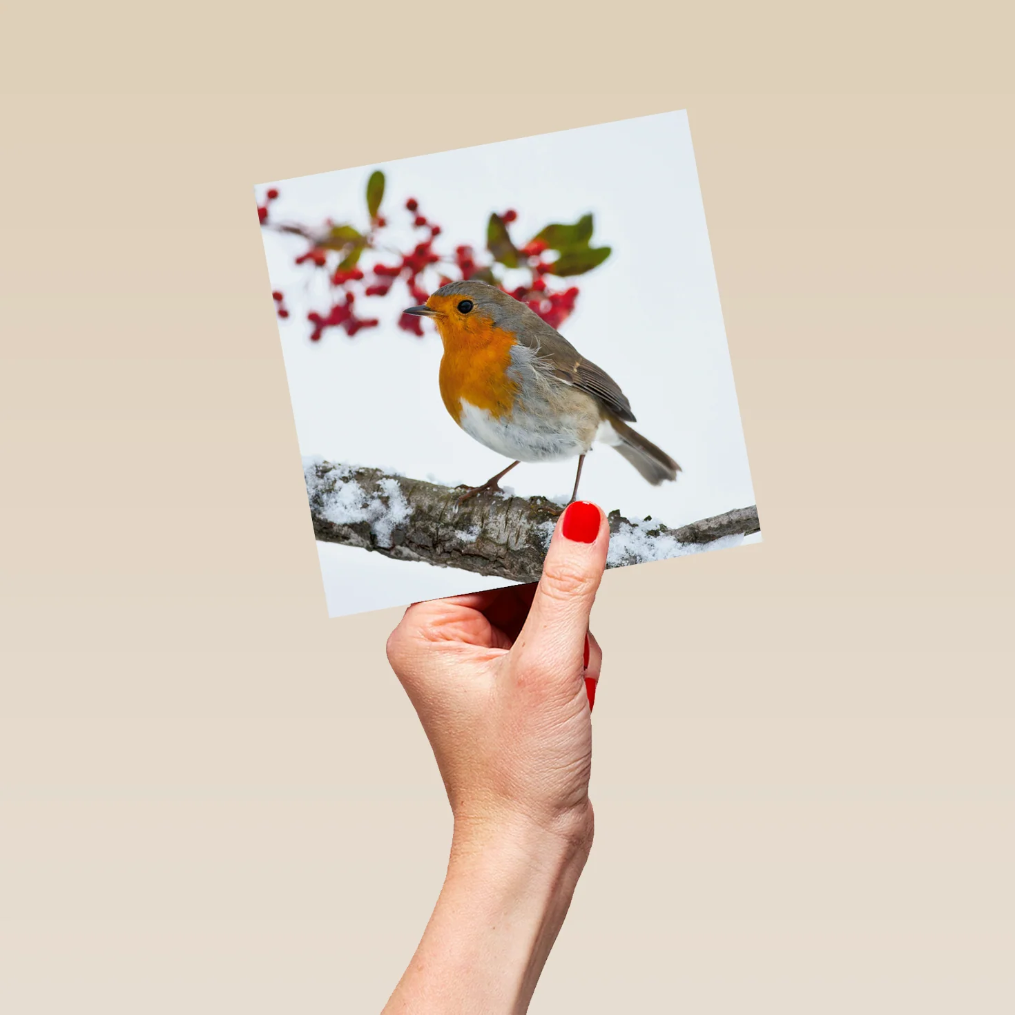 Personalised National Geographic Photographic Robin Christmas Card - Image 5