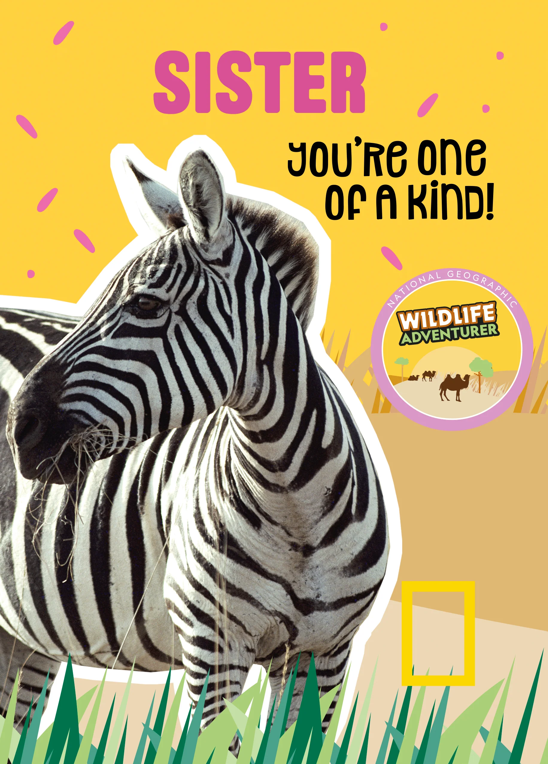Personalised National Geographic Sisters Zebra Birthday Card