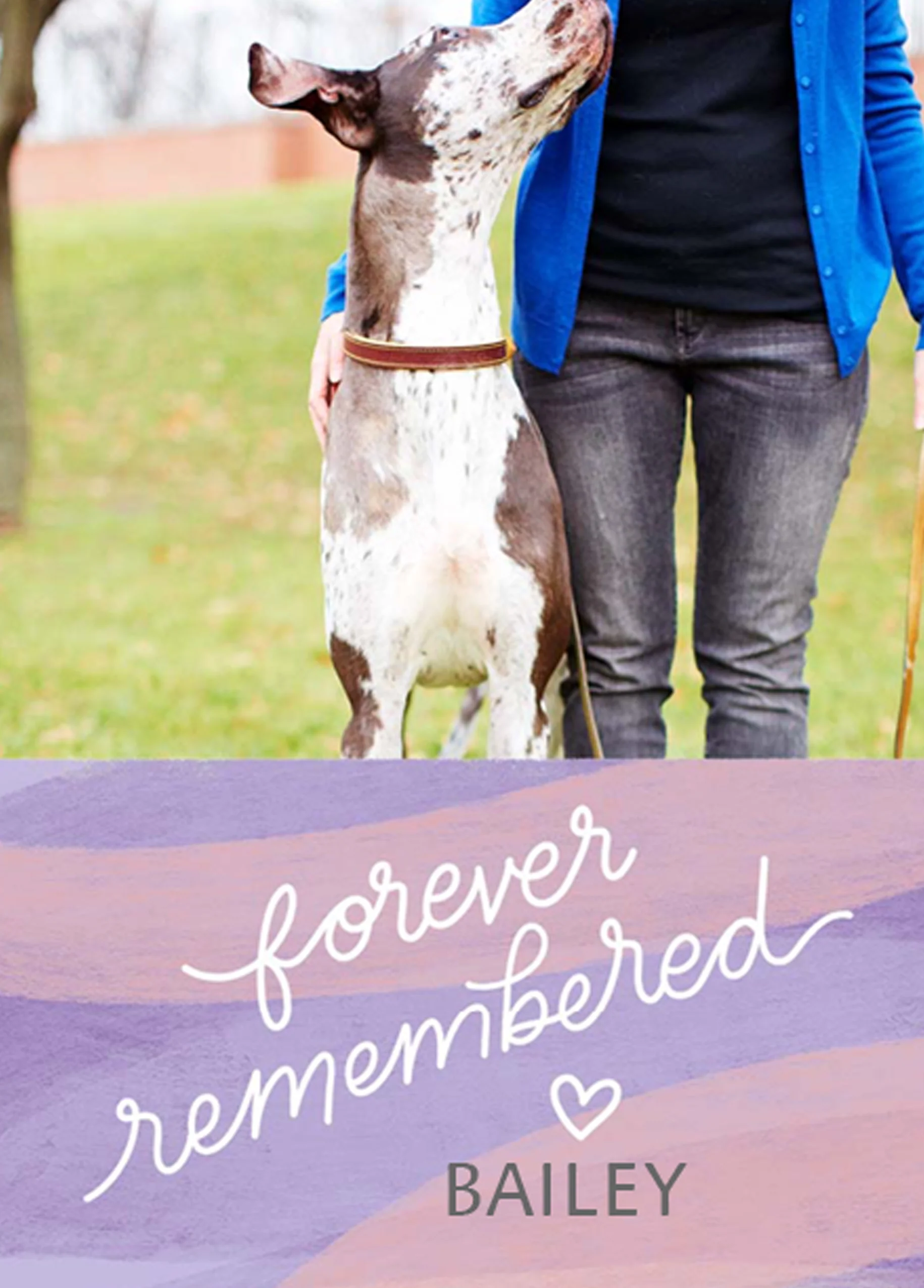 Personalised Pet Remembered Sympathy Photo Card