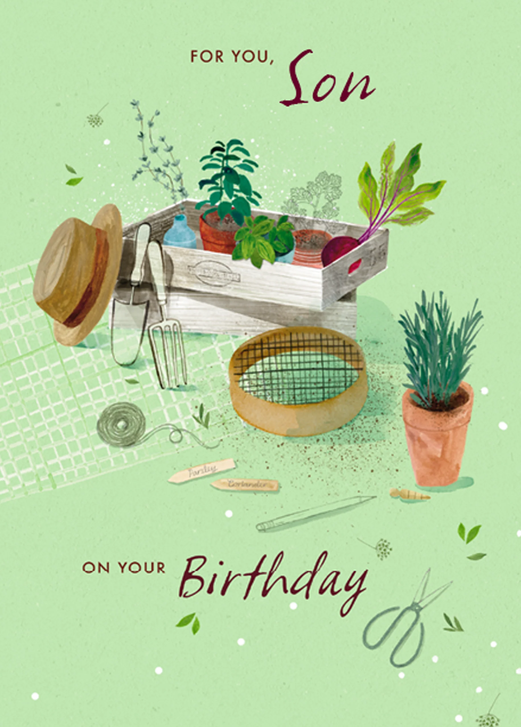 Personalised Pot Plants Son Birthday Card