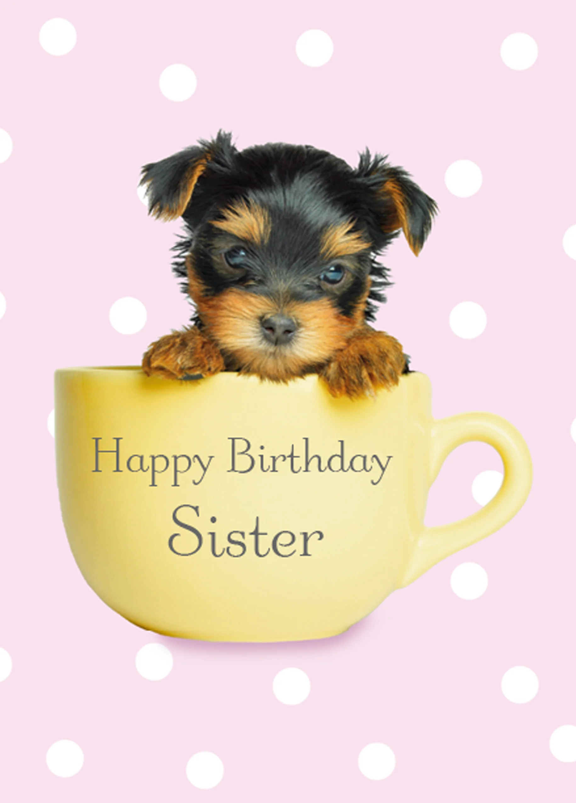 Personalised Puppy Teacup Birthday Card For Sister