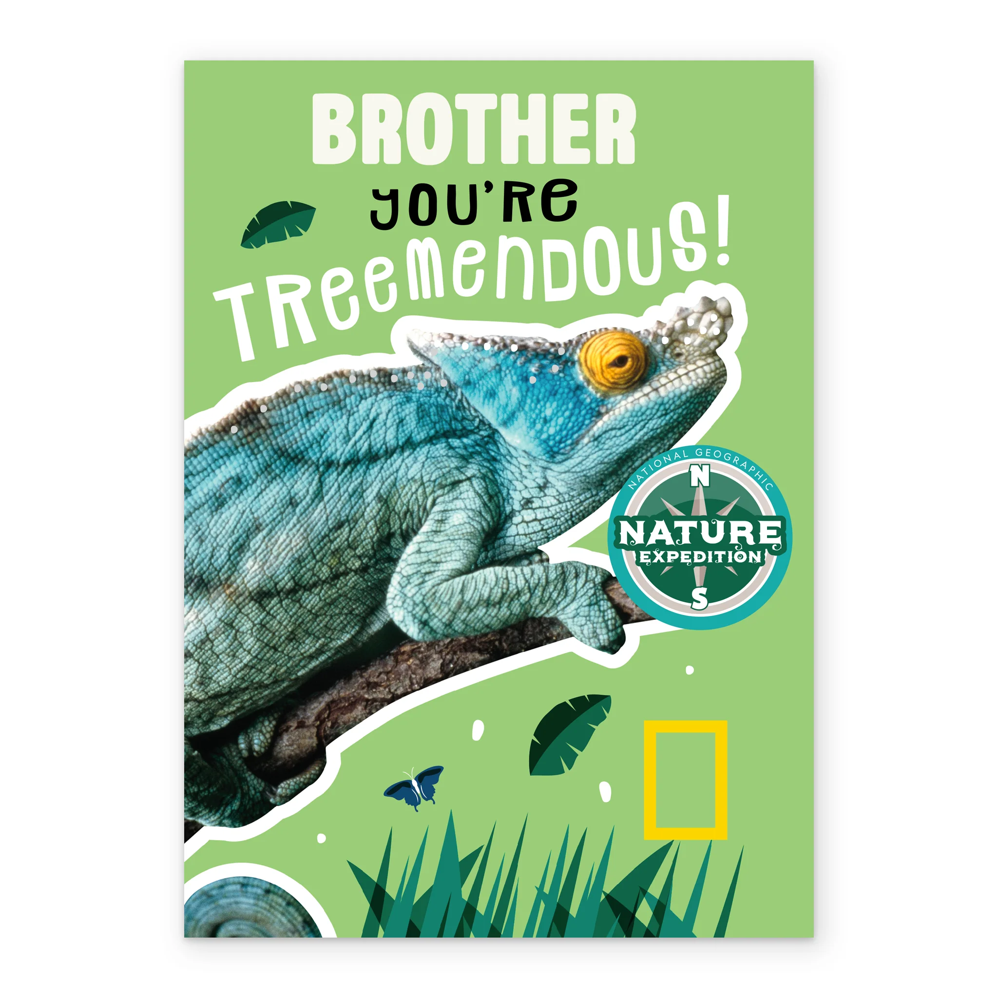 Personalised Reptile Design For Brother Birthday Card - Image 2