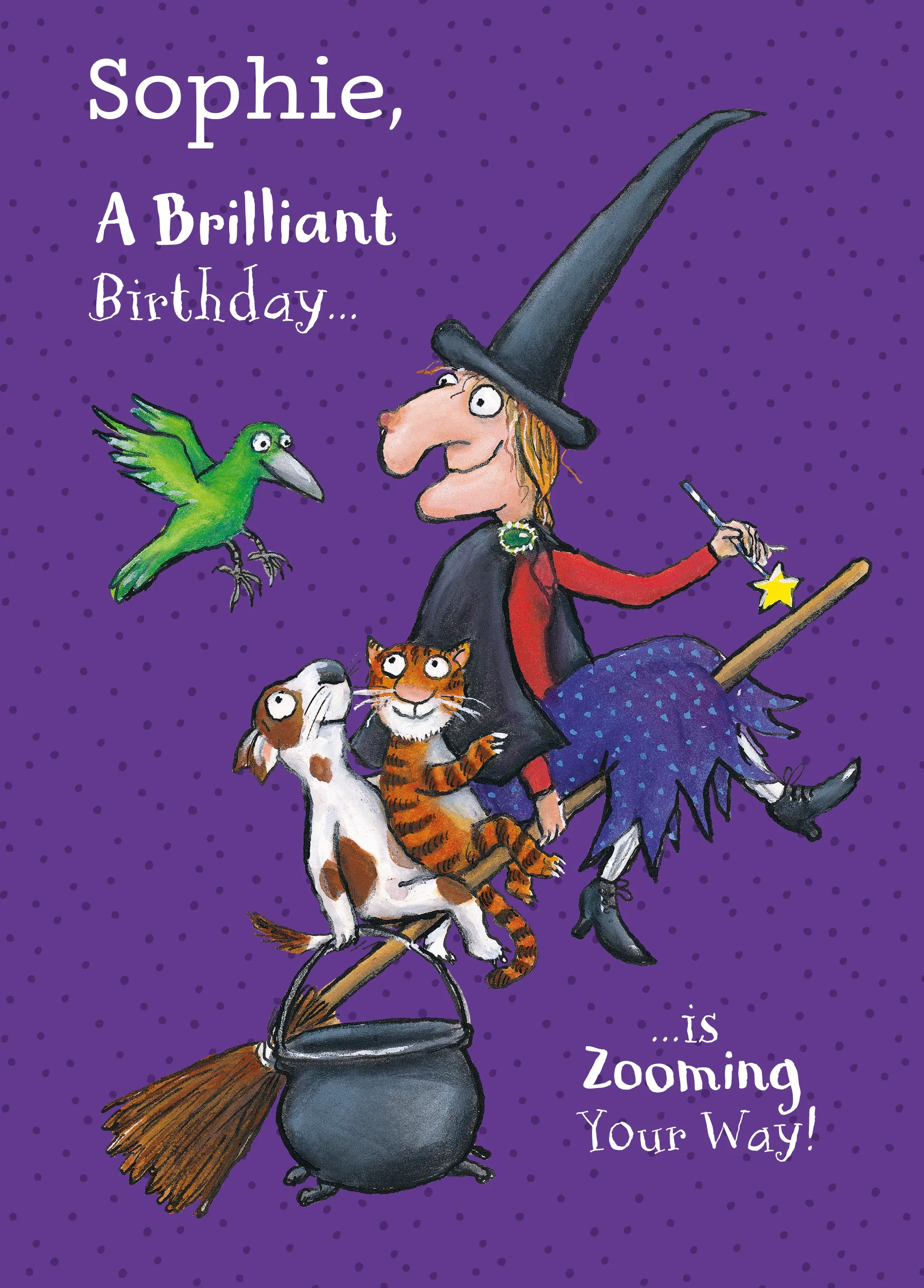 Personalised Room on the Broom Kids' Birthday Card