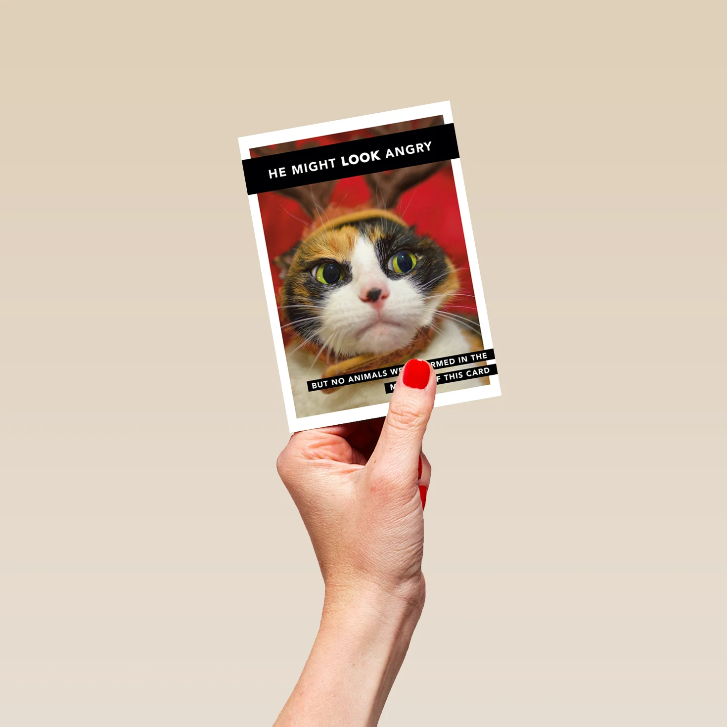 Personalised Shoebox Cat Christmas Card - Image 4